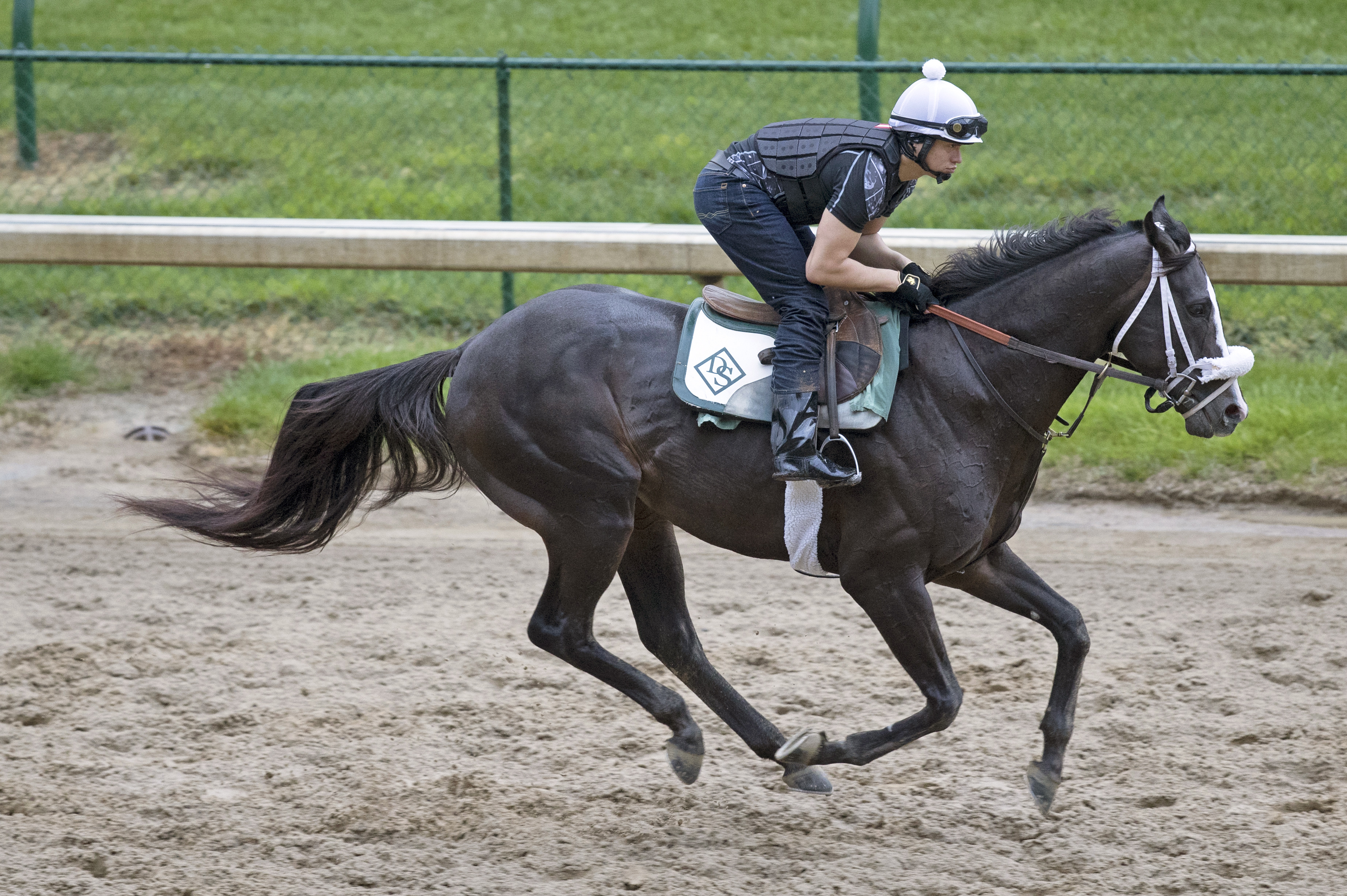 Tom's Ready trains at Churchill Downs on April 27