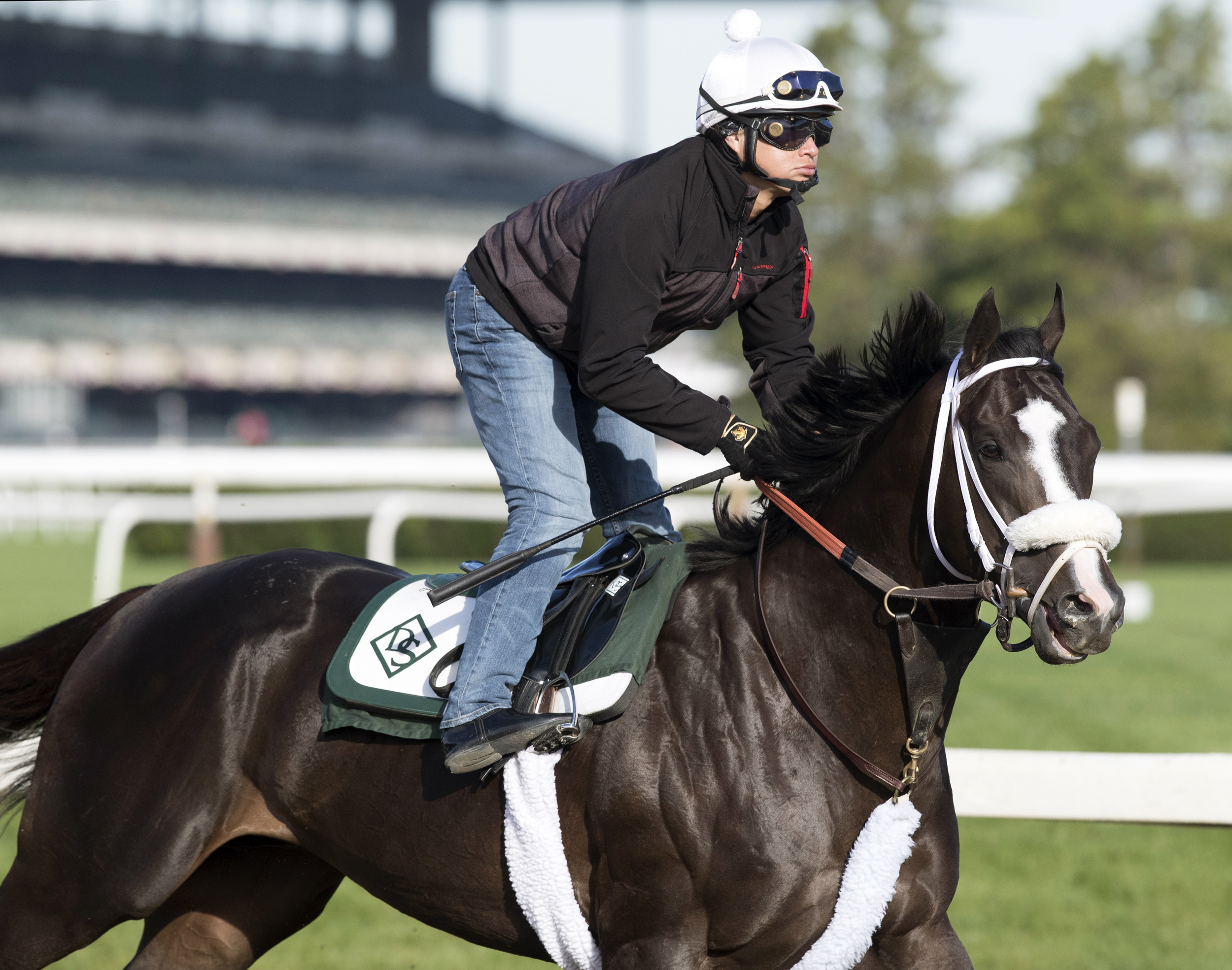 Tom's Ready trains at Belmont on June 8, 2017