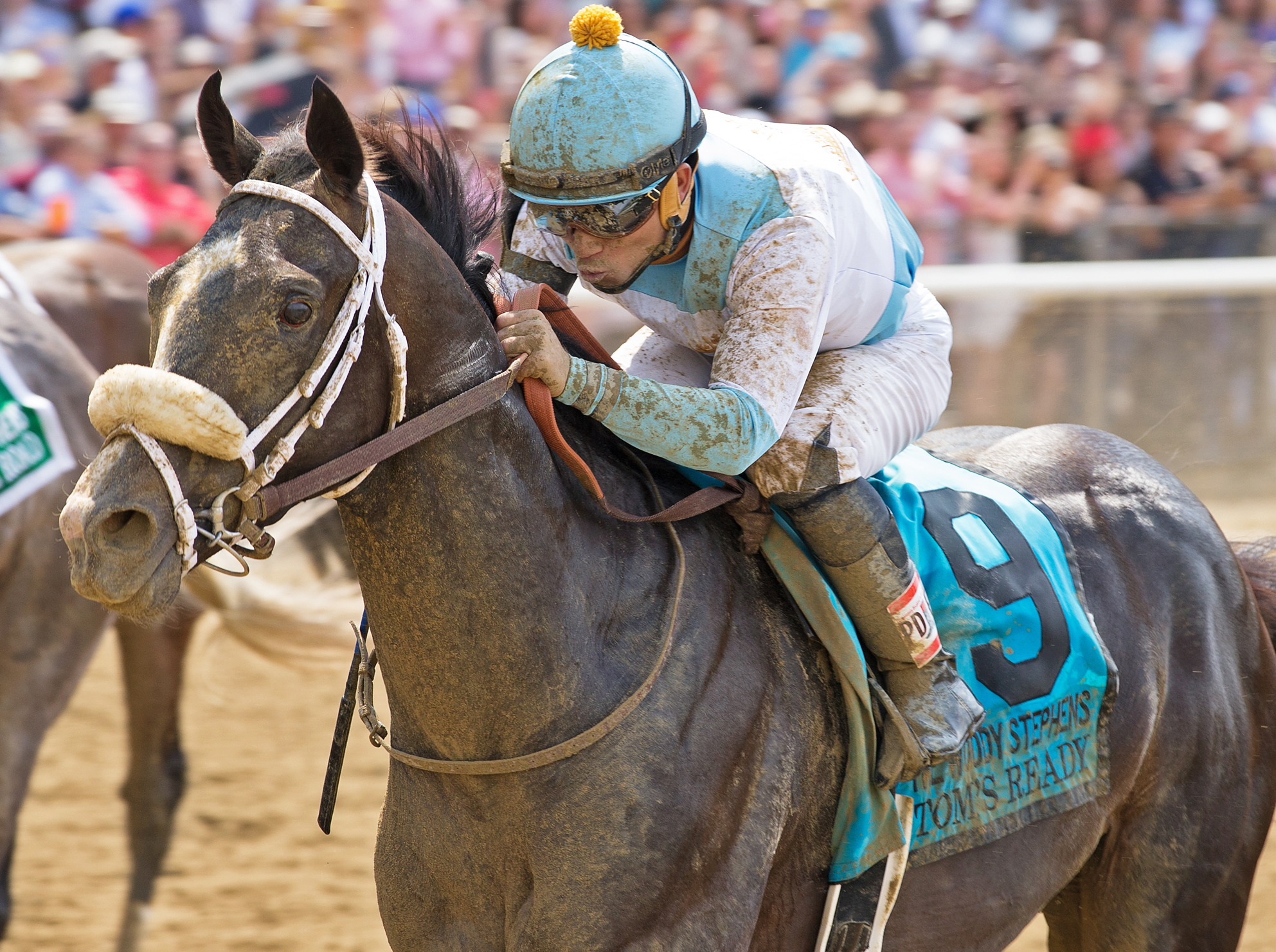 Tom's Ready wins the Woody Stephens