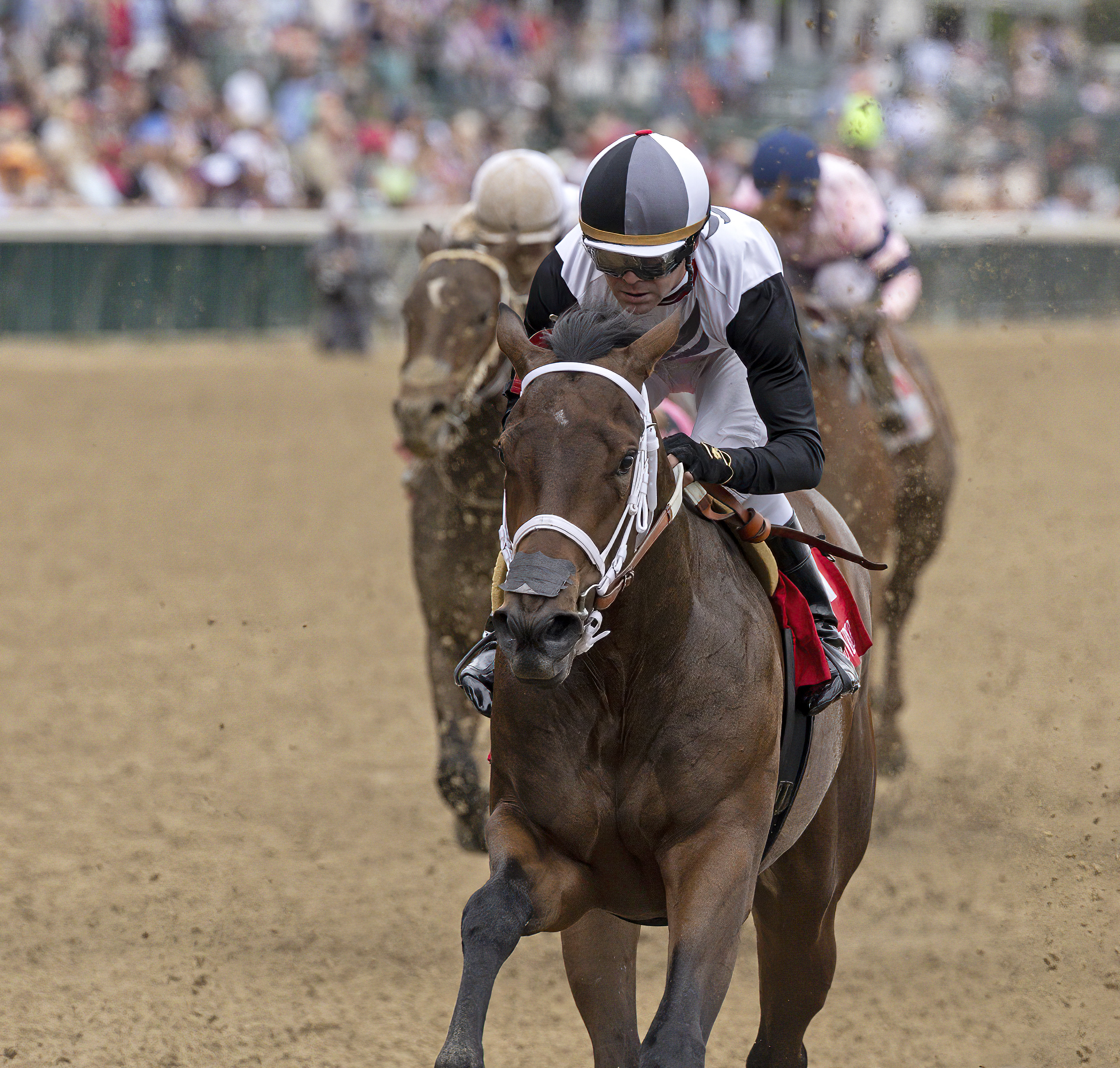 Tom's Regret/Kentucky Juvenile Stakes