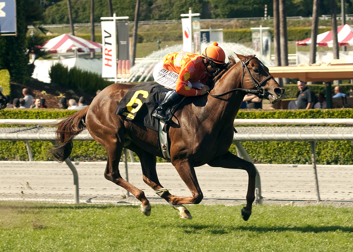 Tom's Tribute wins the Thunder Road