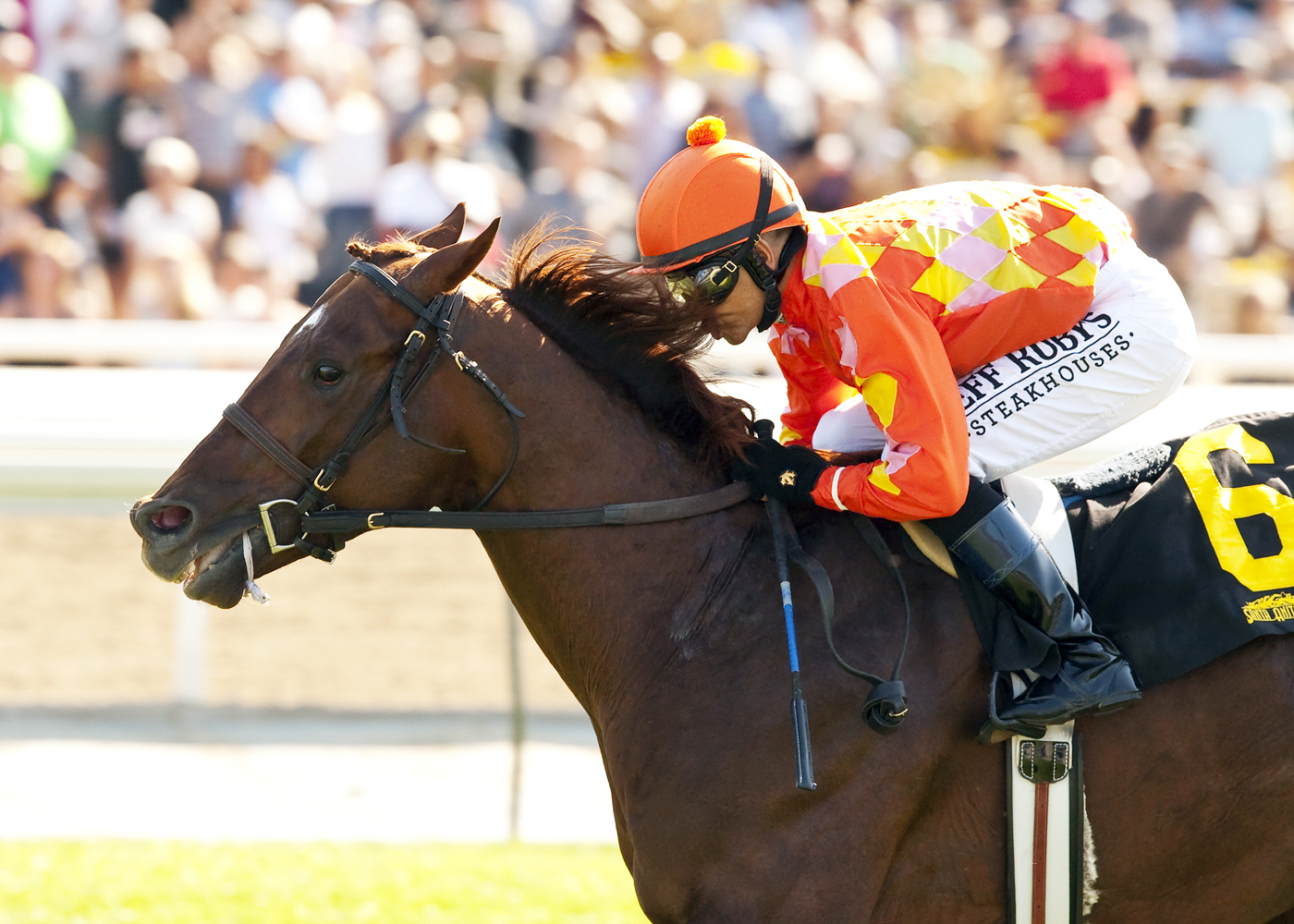 Tom's Tribute wins the Thunder Road