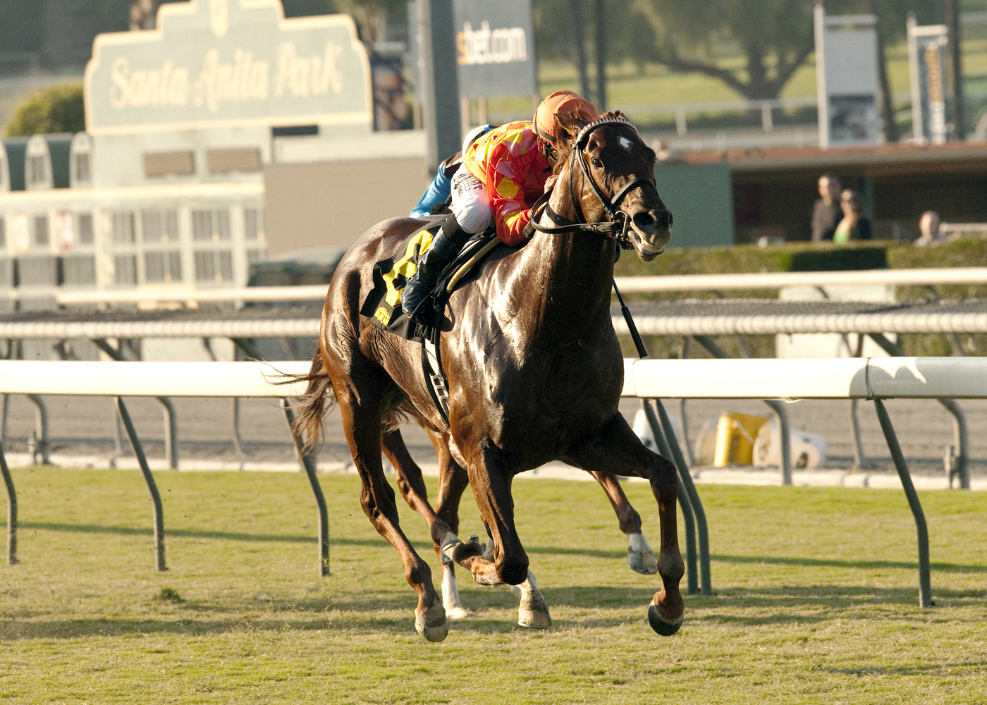 Tom's Tribute wins the Uniformity Stakes
