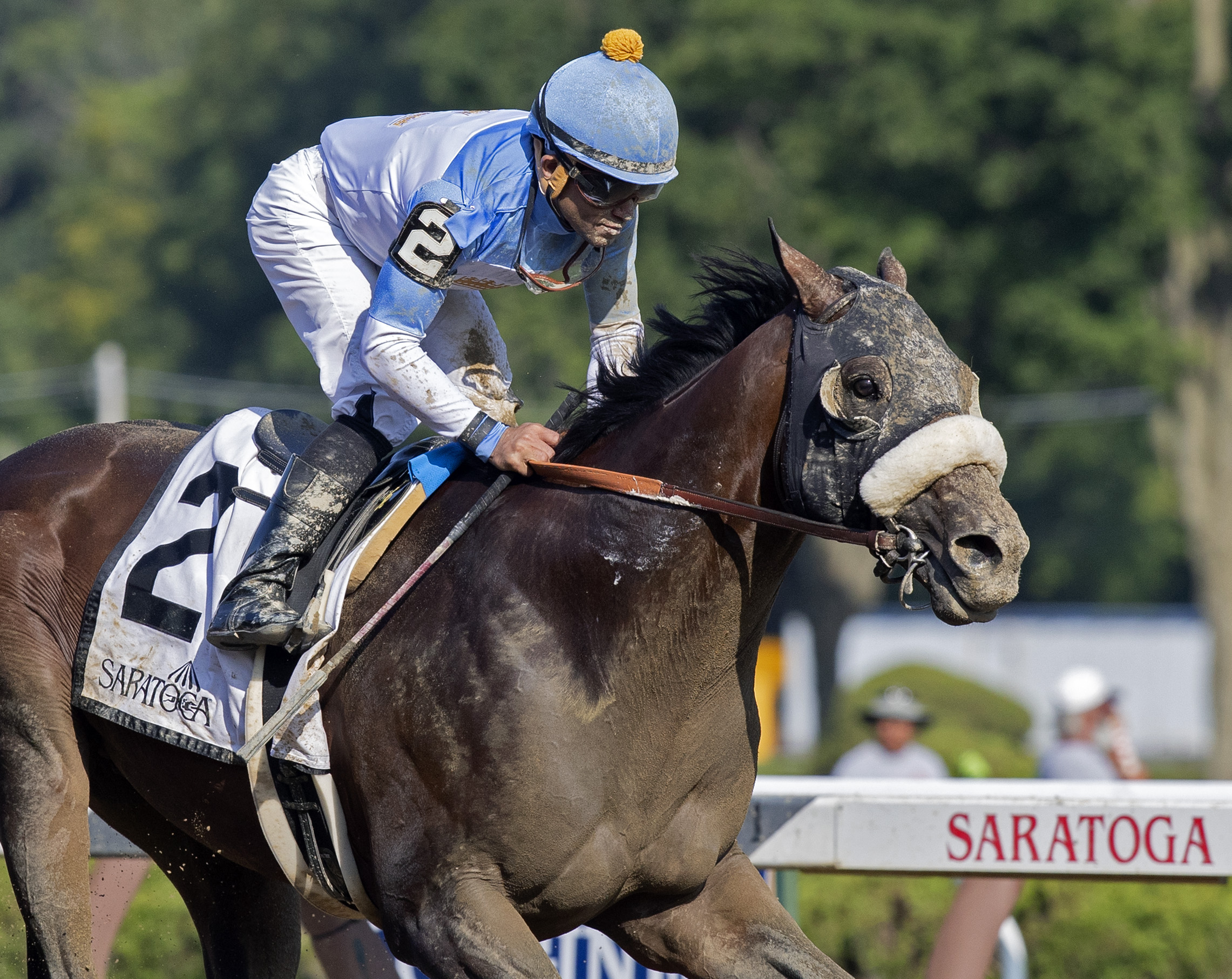 Tom's d'Etat wins the 2019 Alydar Stakes