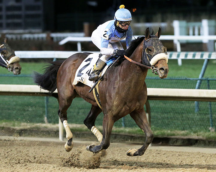 Tom's d'Etat wins the 2019 Clark Handicap at Churchill Downs