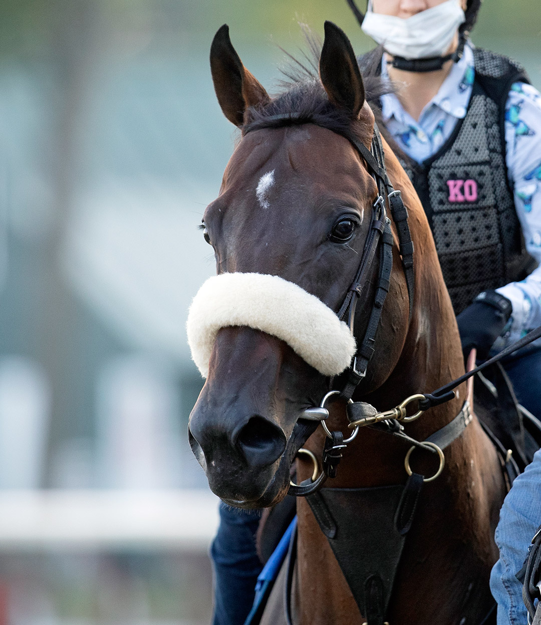 Tom's d'Etat at Saratoga on July 15