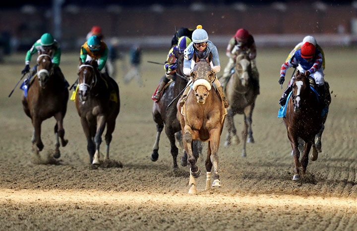 Tom's d'Etat wins the 2019 Clark Handicap at Churchill Downs