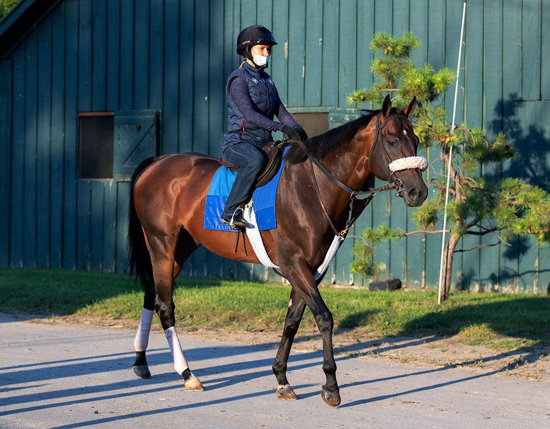 Tom's d'Etat at Saratoga Race Course on July 30