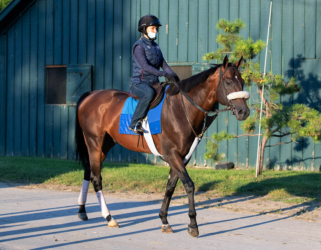 Tom's d'Etat at Saratoga in July 2020
