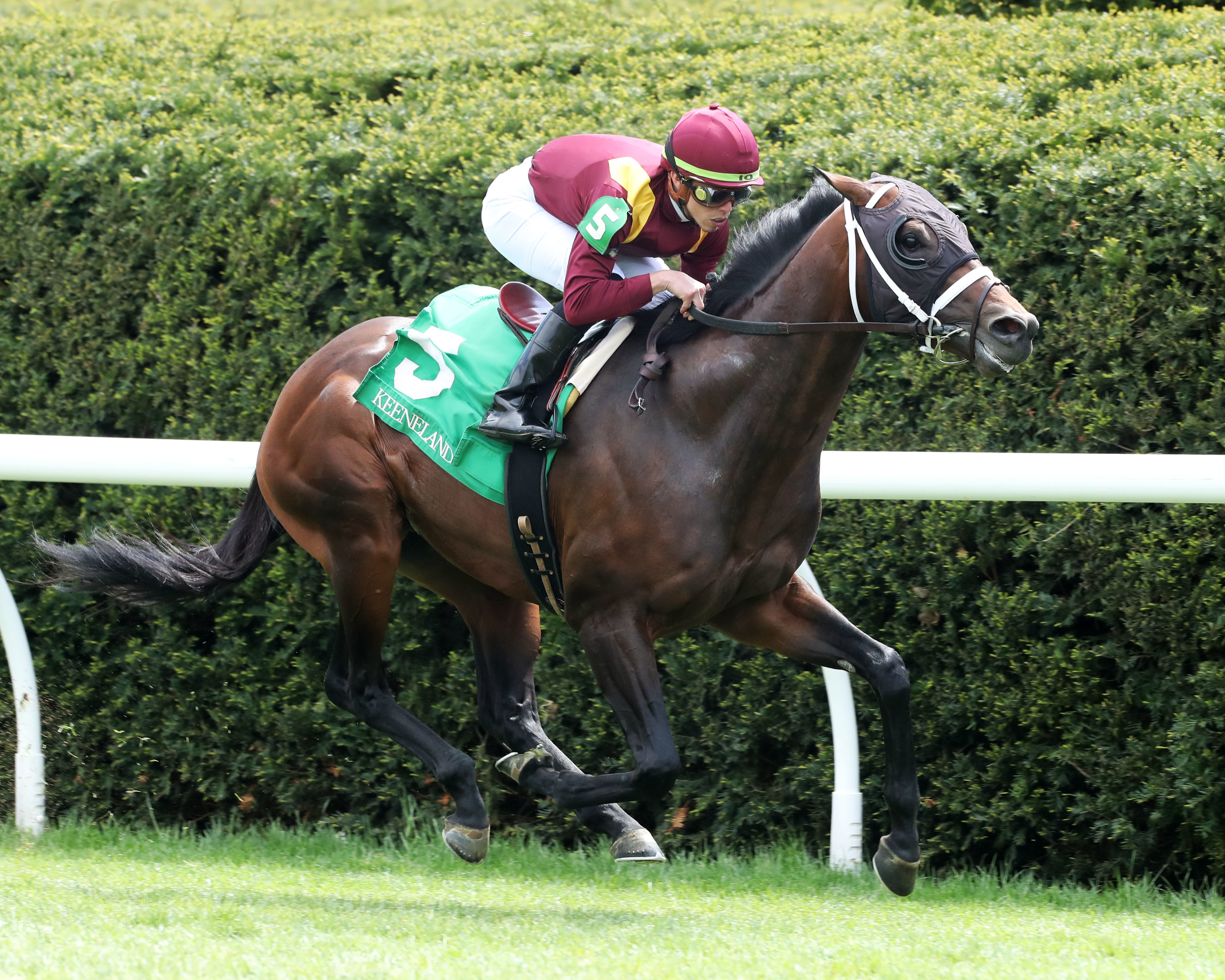 Tommy Bee wins Keeneland allowance on April 29 2022