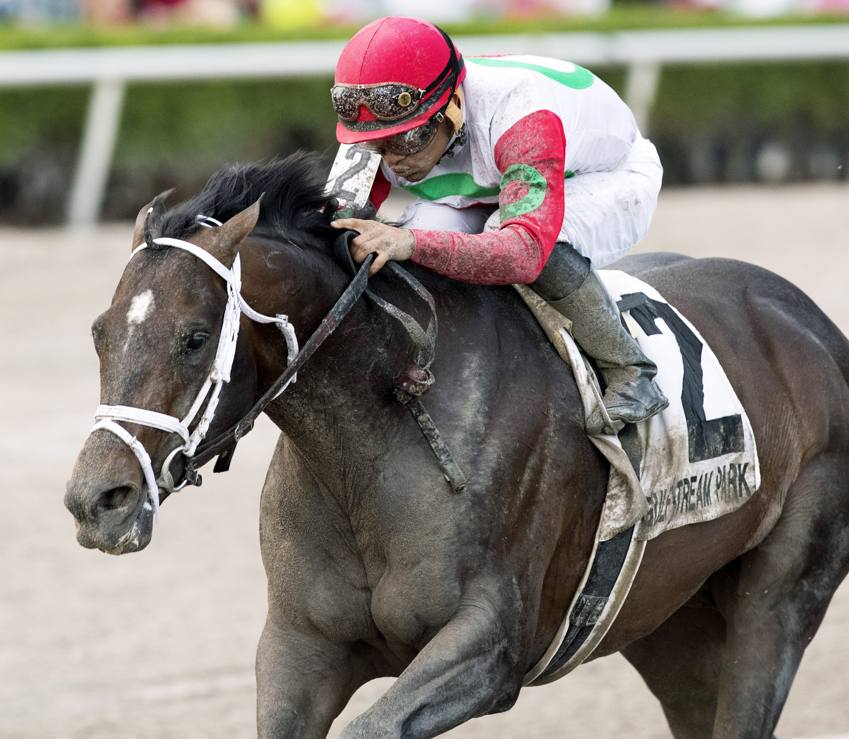 Tommy Macho wins the 2017 Hal's Hope Stakes