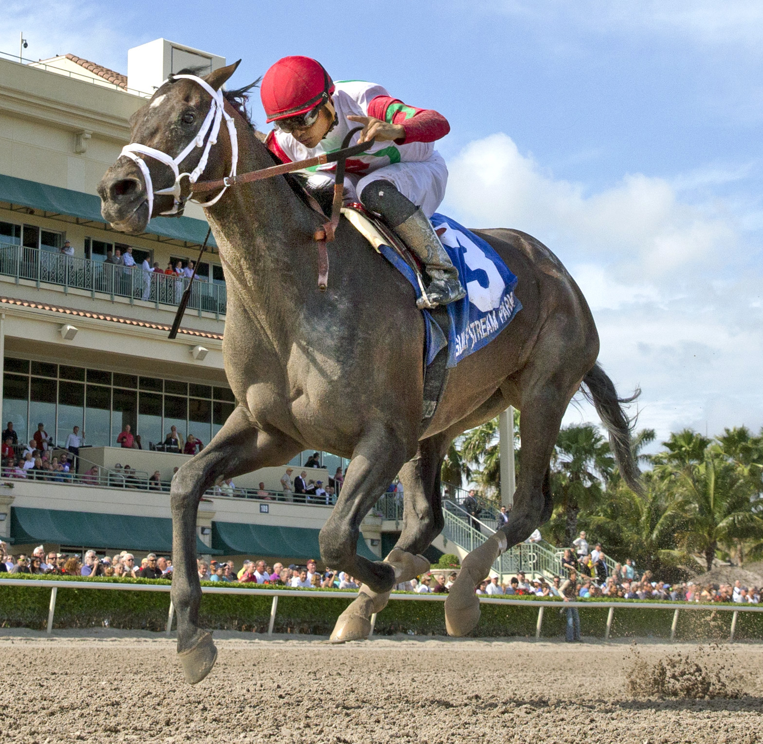 Tommy Macho wins the Fred Hooper