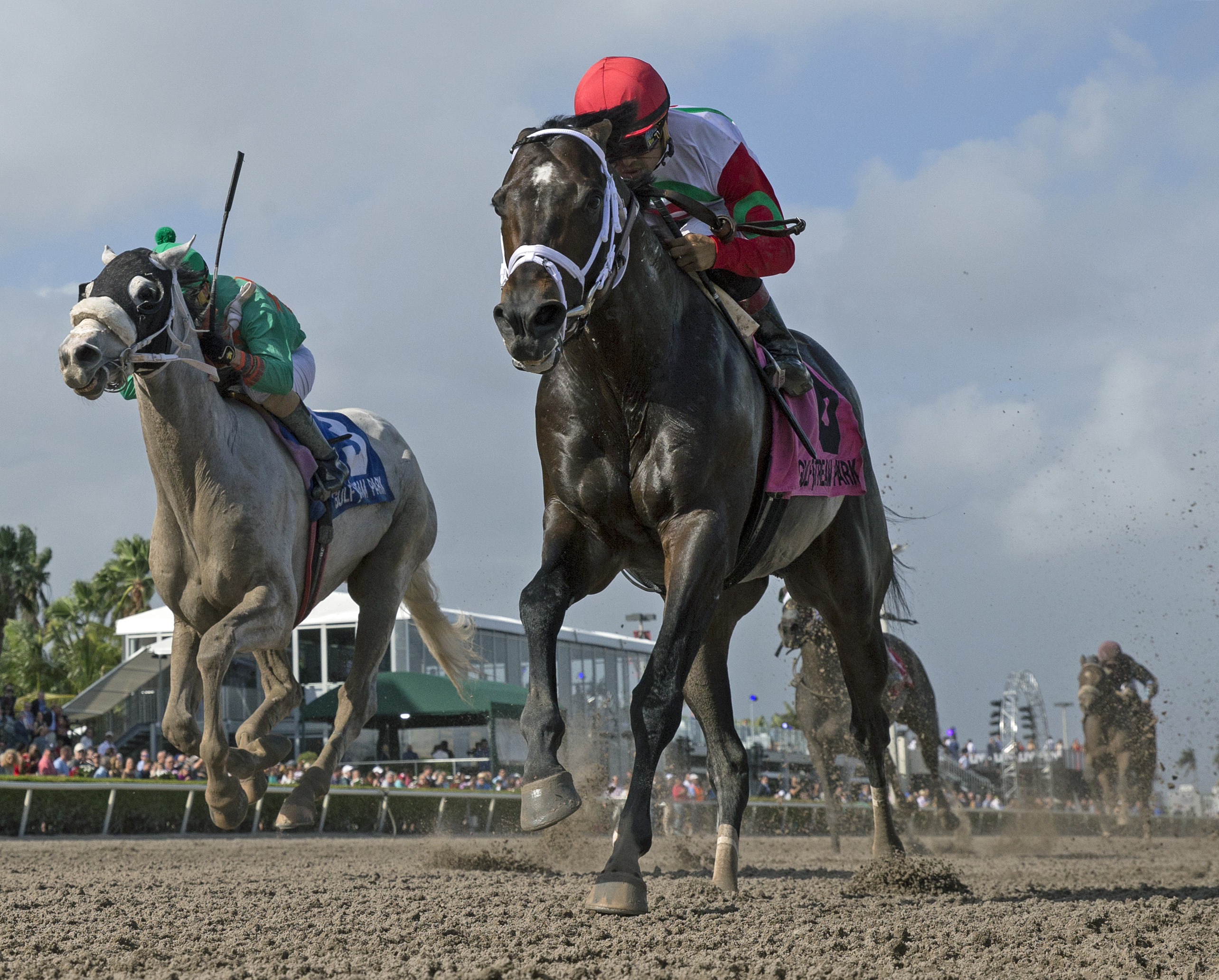 Tommy Macho wins 2018 Fred Hooper