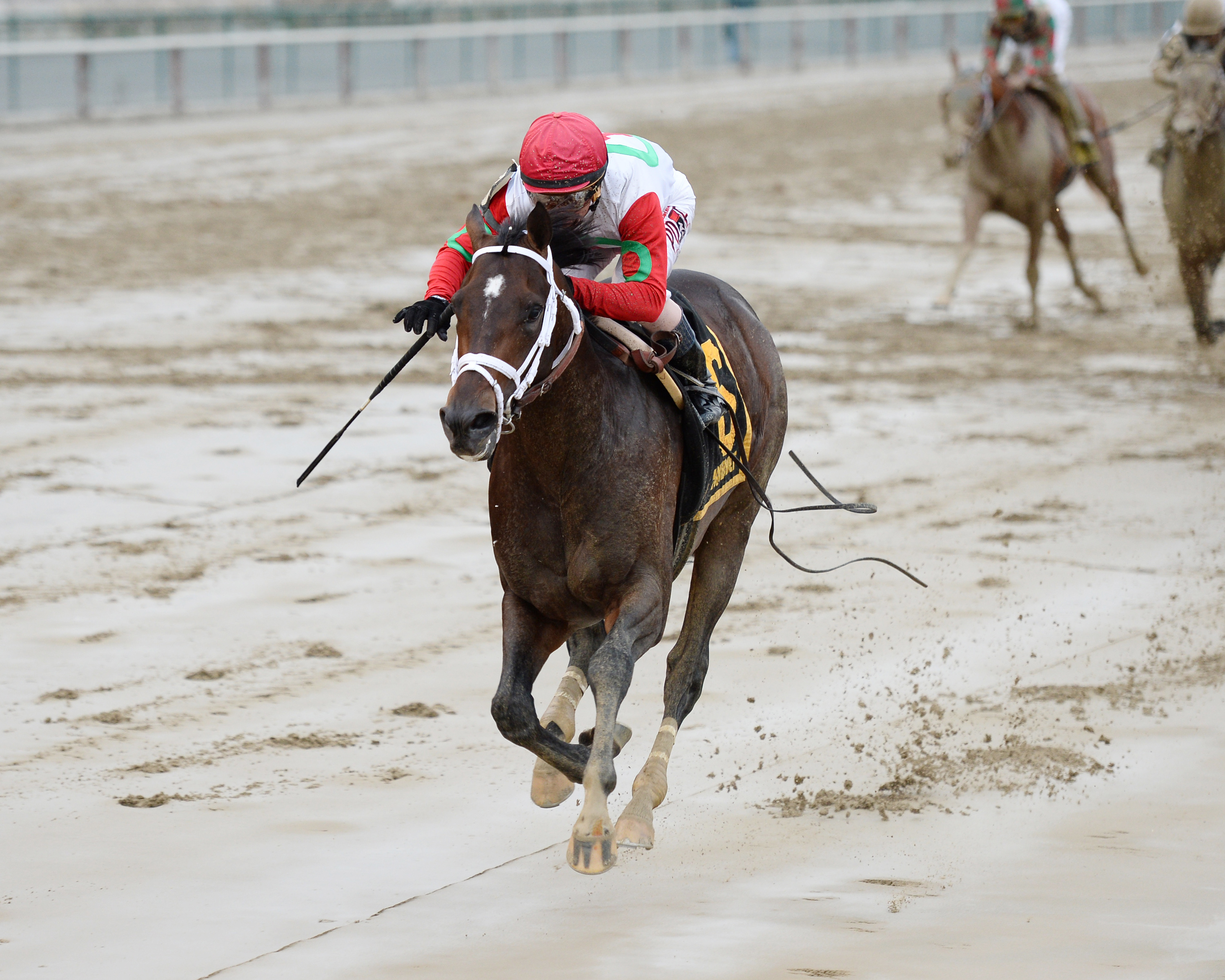 Tommy Macho wins the Discovery Handicap
