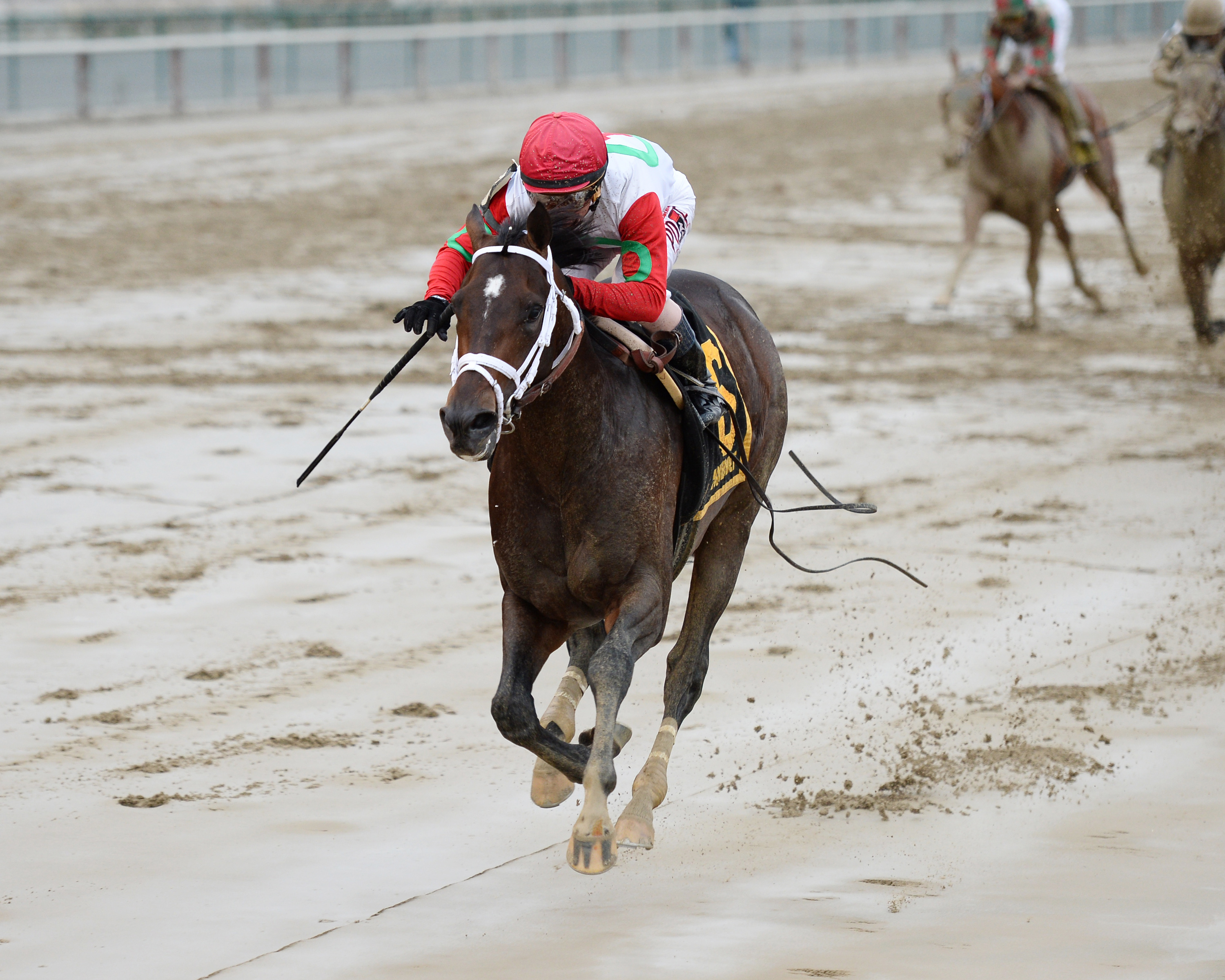 Tommy Macho wins the Discovery Handicap