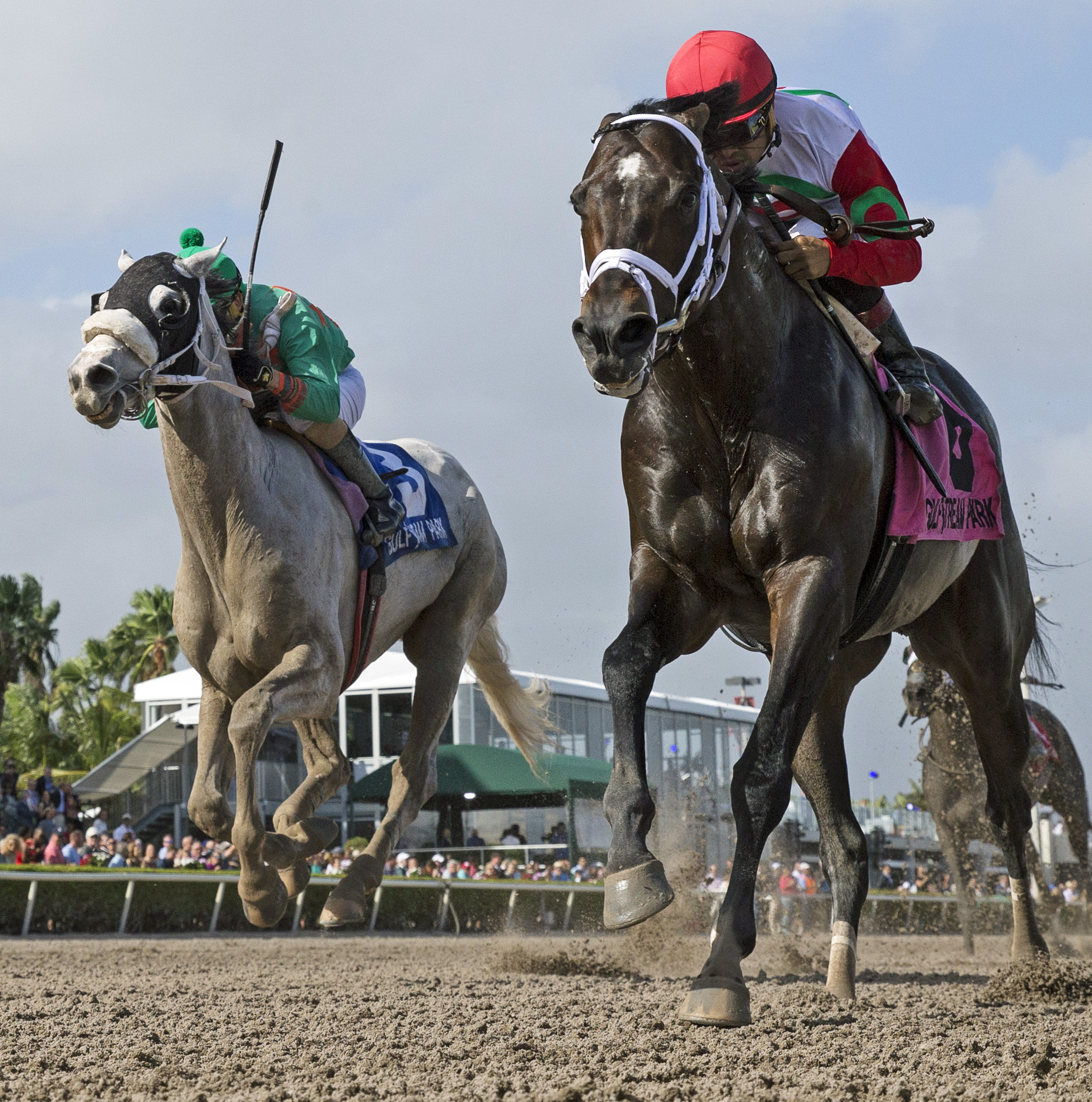 Conquest Big E finishes second in the Fred W. Hooper Stakes