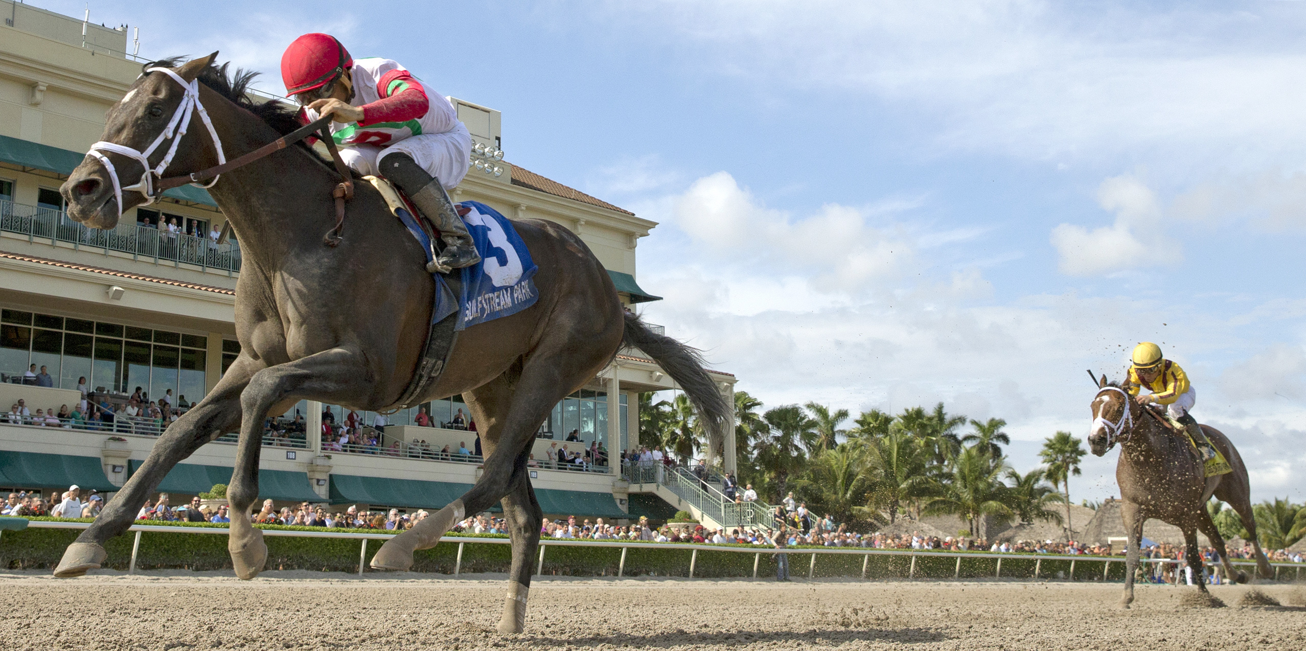 Tommy Macho wins the Fred W. Hooper