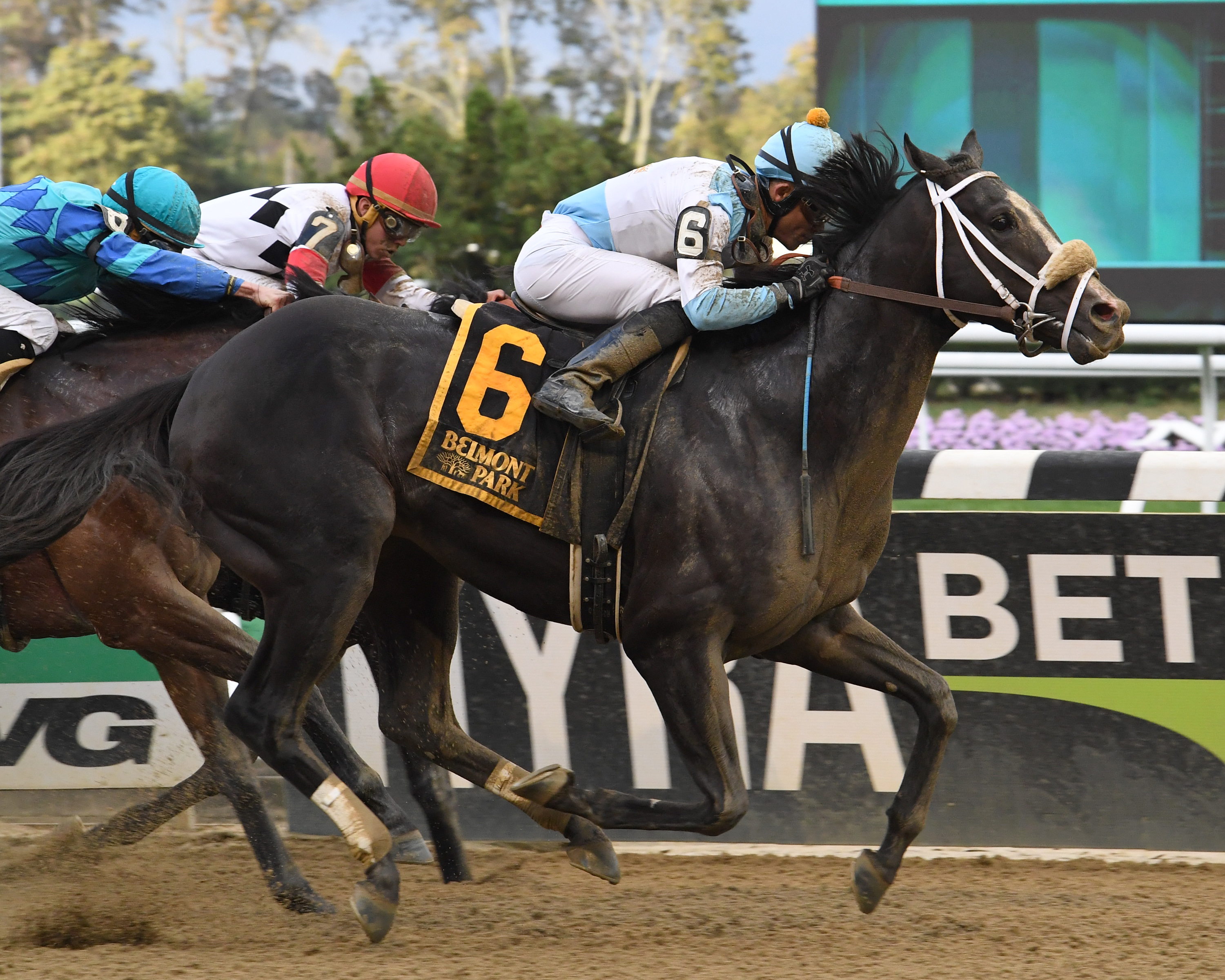 Tom's Ready wins the Bold Ruler