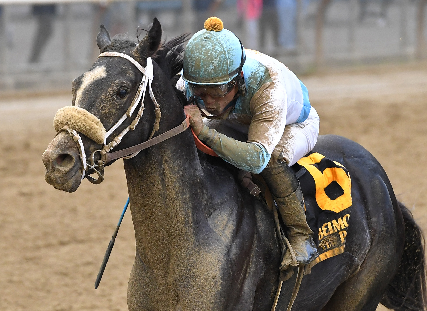 Toms Ready wins the Bold Ruler Handicap
