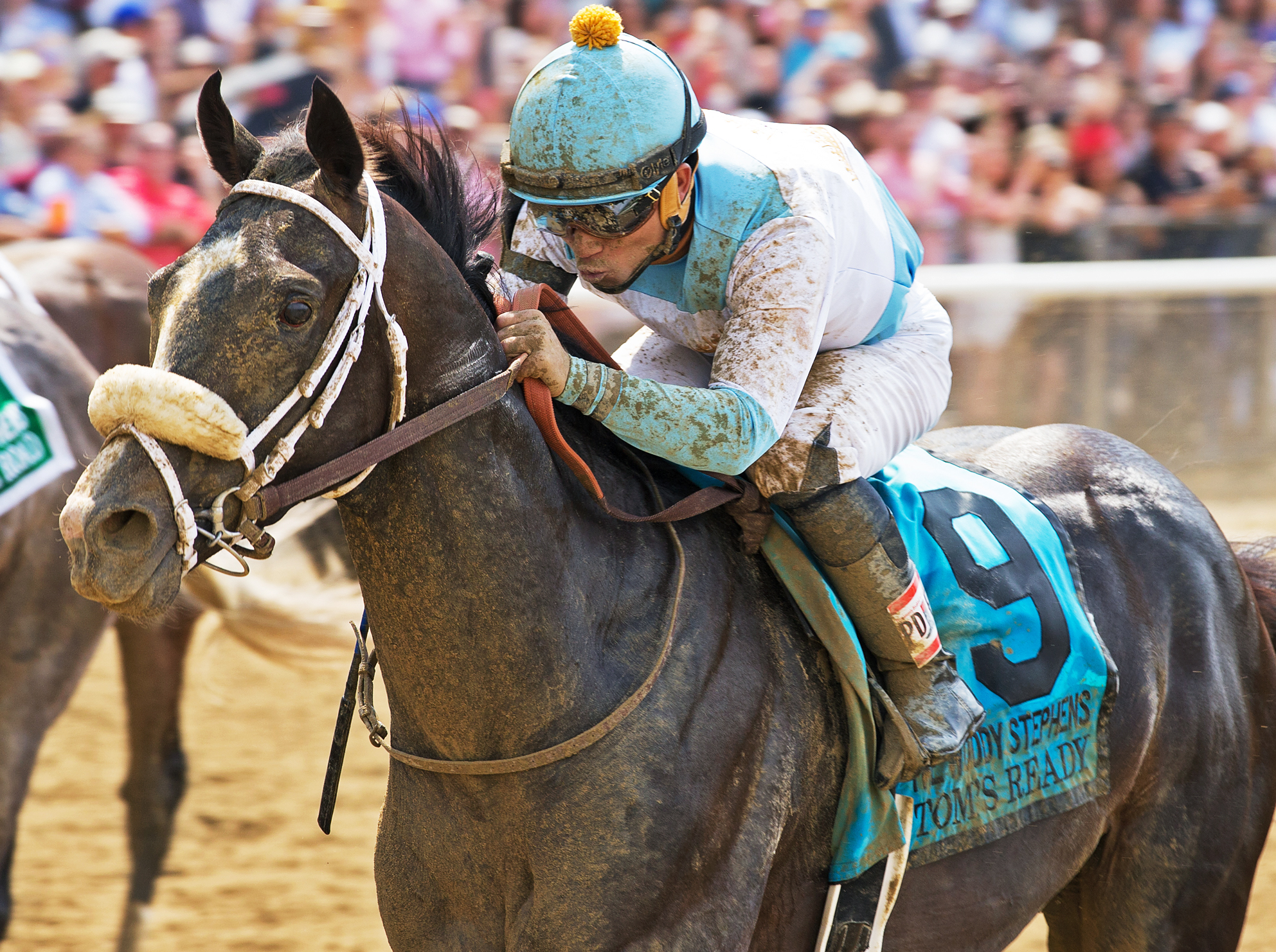 Toms Ready wins the 2017 Woody Stephens