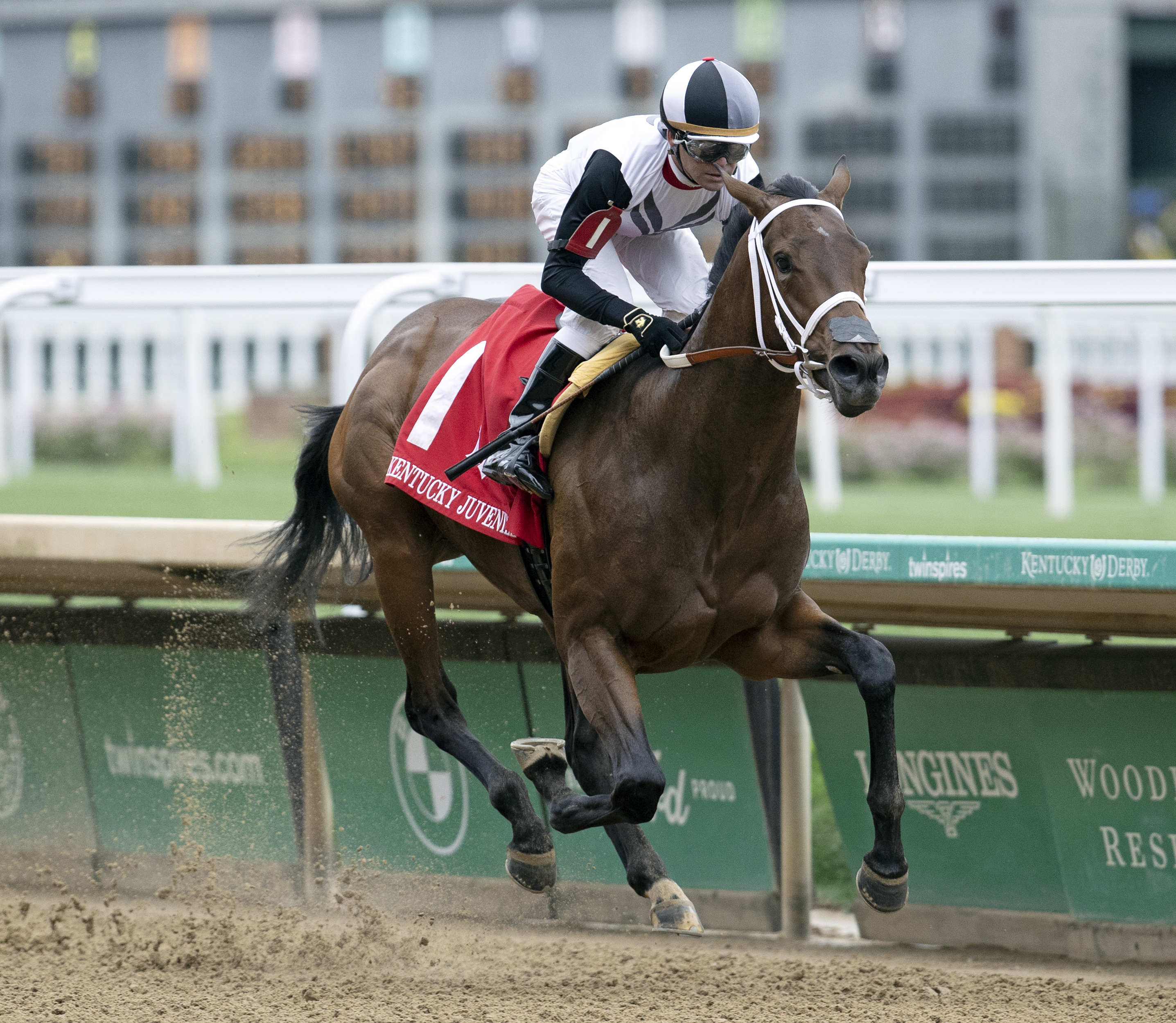 Tom's Regret wins the Kentucky Juvenile.05.05.2022