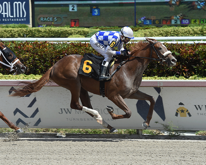 Tonalist-s Shape wins a Sept. 28 maiden race at Gulfstream Park