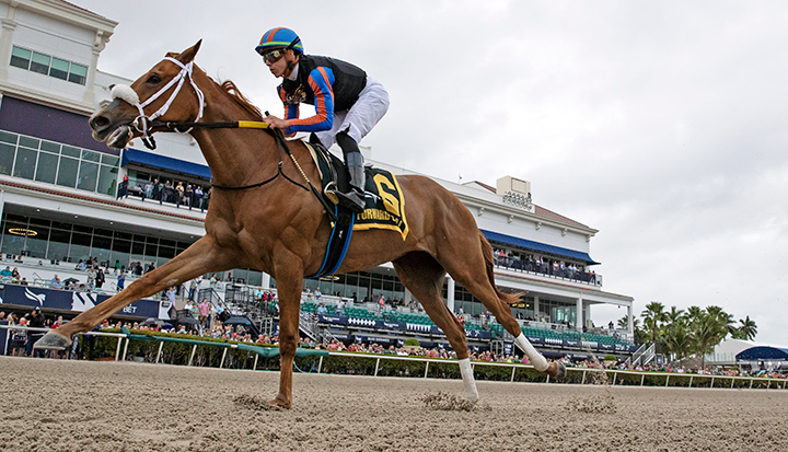 Tonalist's Shape wins the Forward Gal Stakes at Gulfstream Park