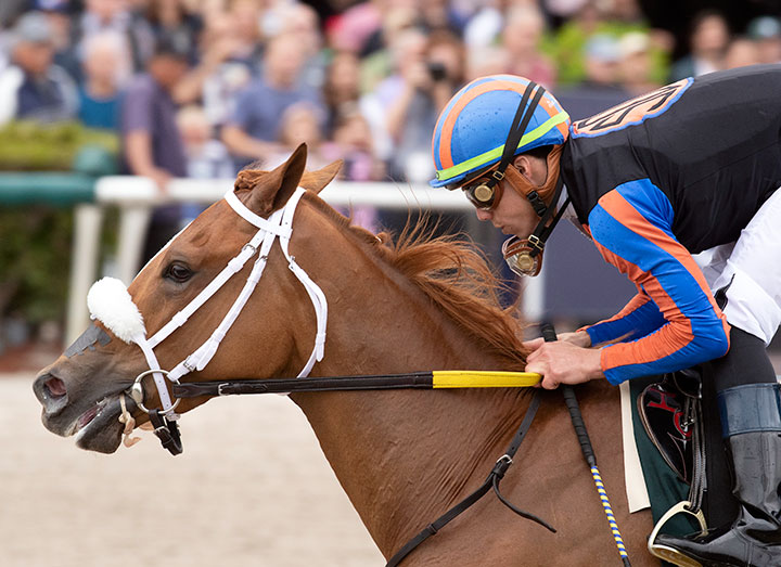 Tonalist's Shape wins the Forward Gal Stakes at Gulfstream Park