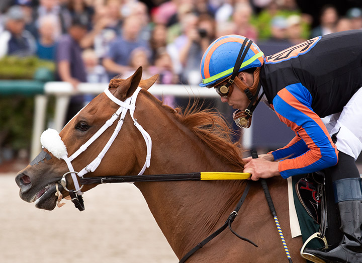 Tonalist's Shape wins the Forward Gal Stakes at Gulfstream Park