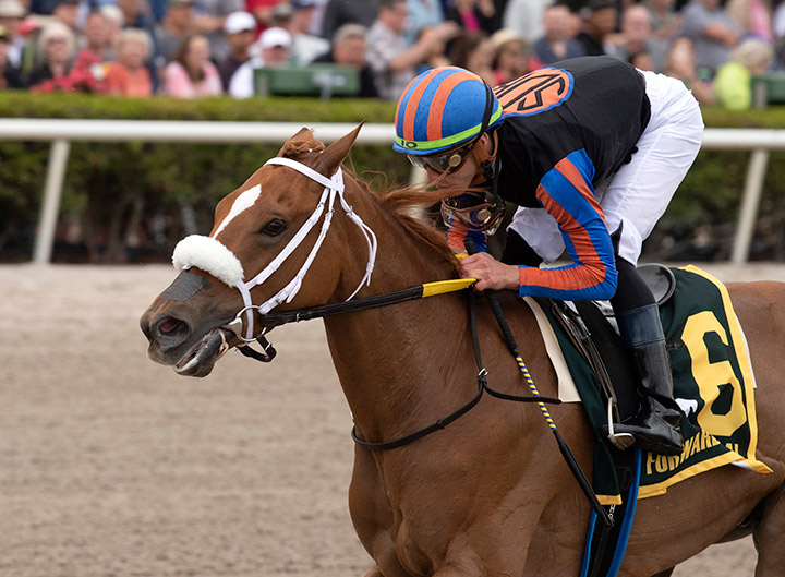 Tonalist's Shape wins the Forward Gal Stakes at Gulfstream Park