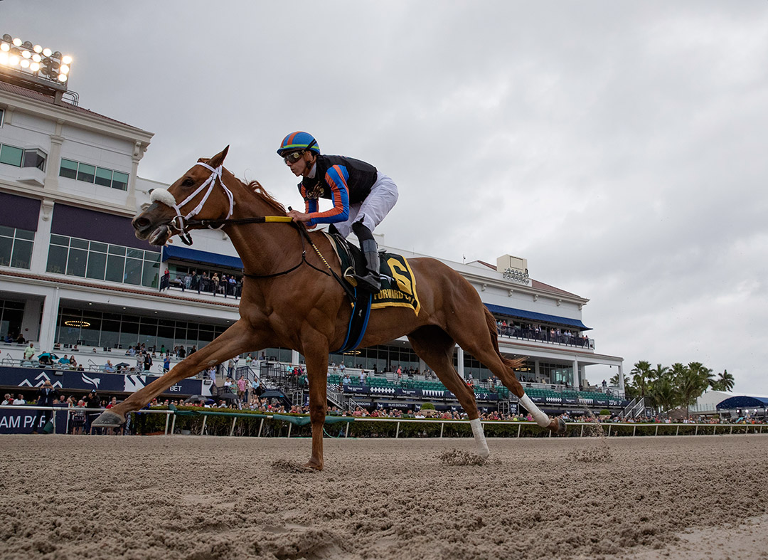Tonalist's Shape wins the Forward Gal Stakes at Gulfstream Park