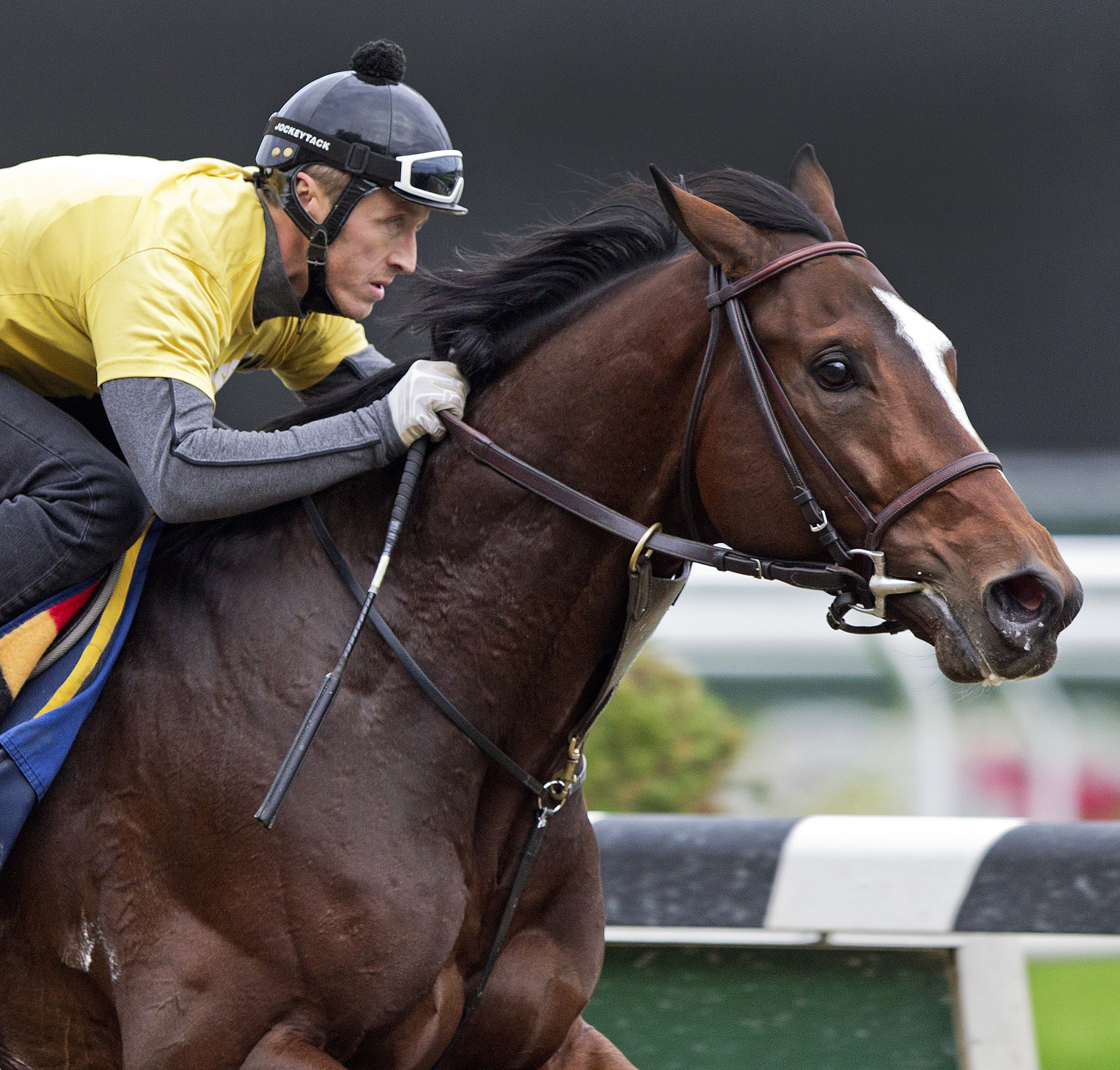 Tonalist works Oct 19 at Belmont