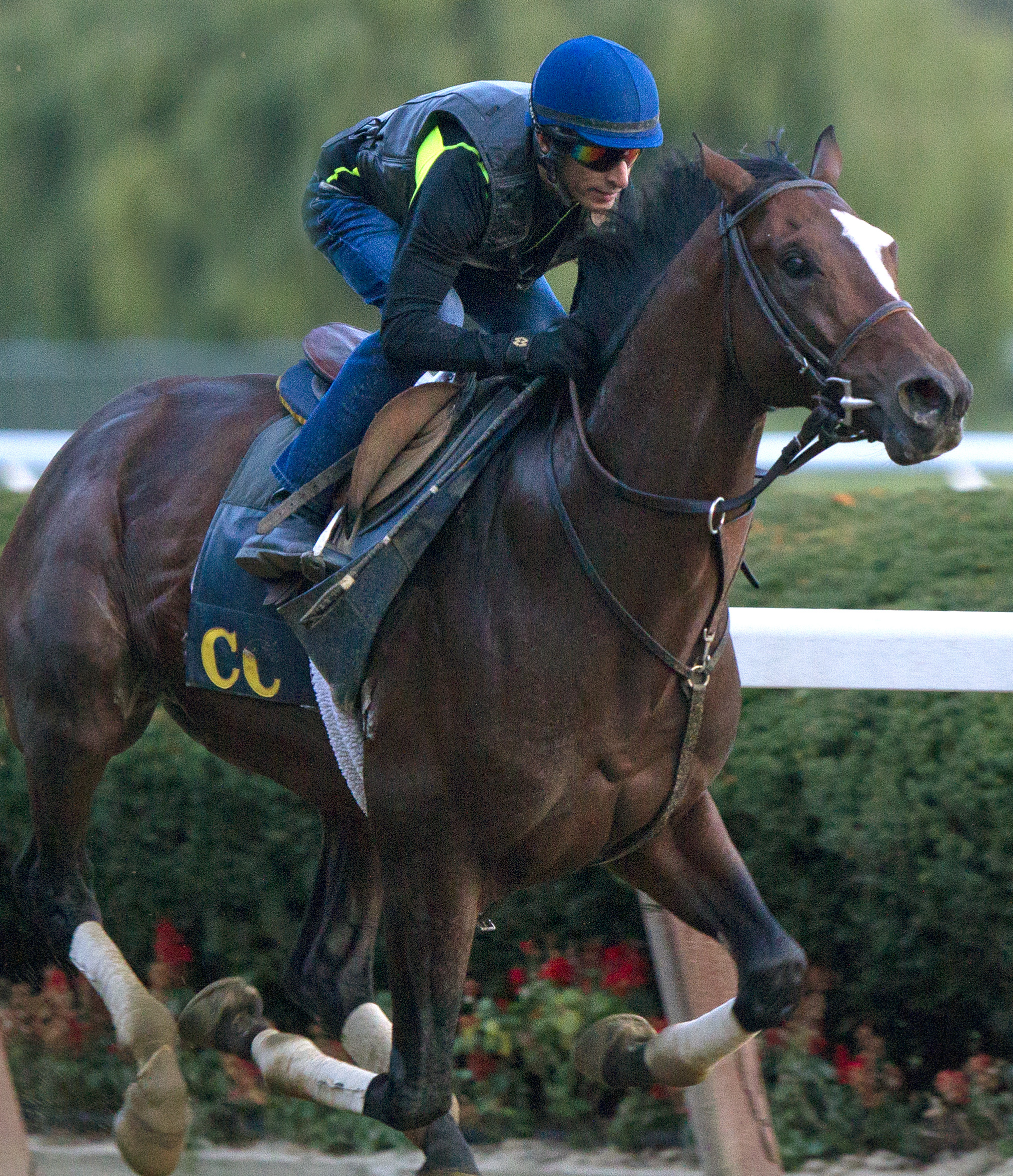 Tonalist works Sept 26 Belmont