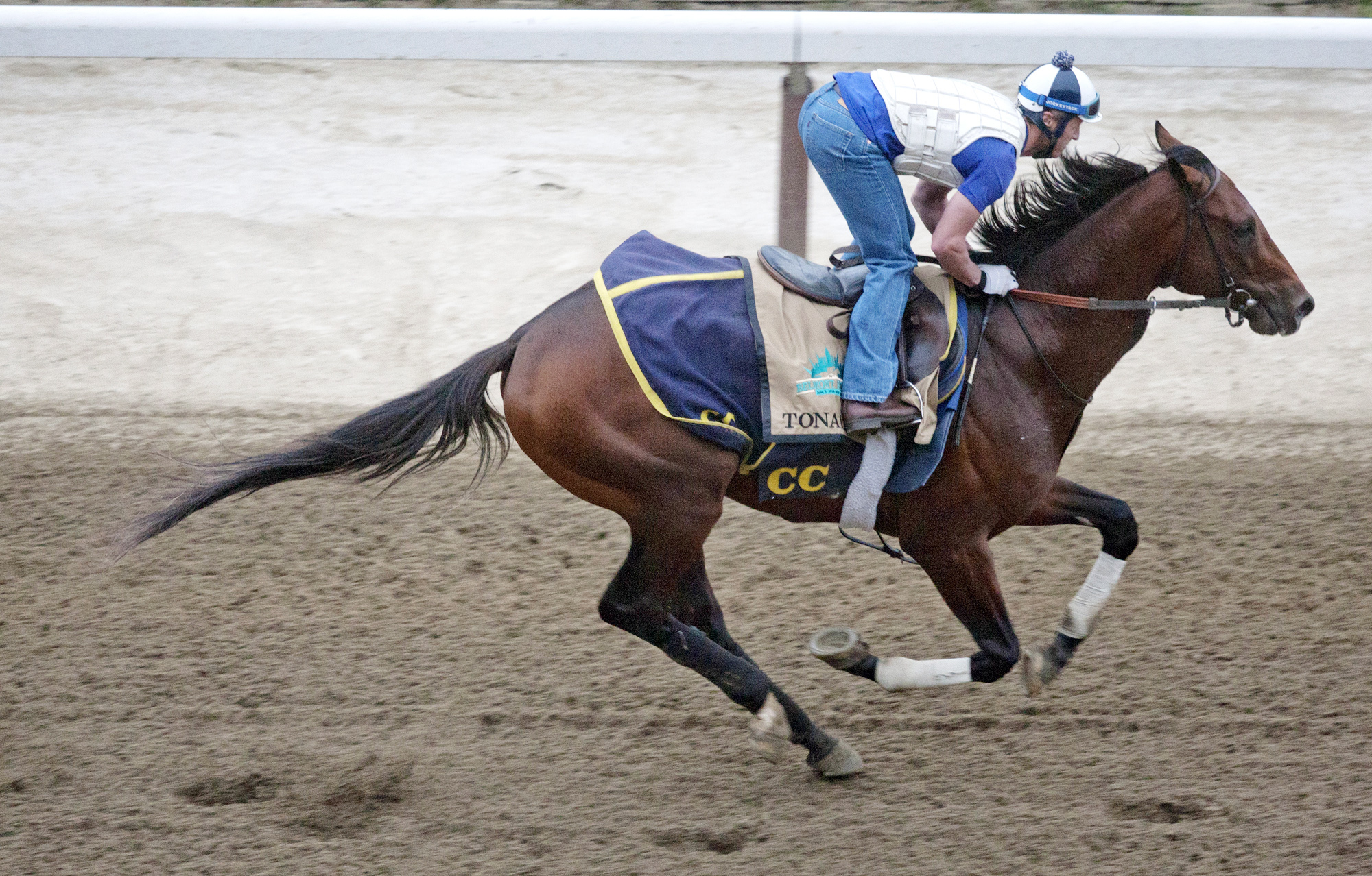 Tonalist trains at Belmont on May 28