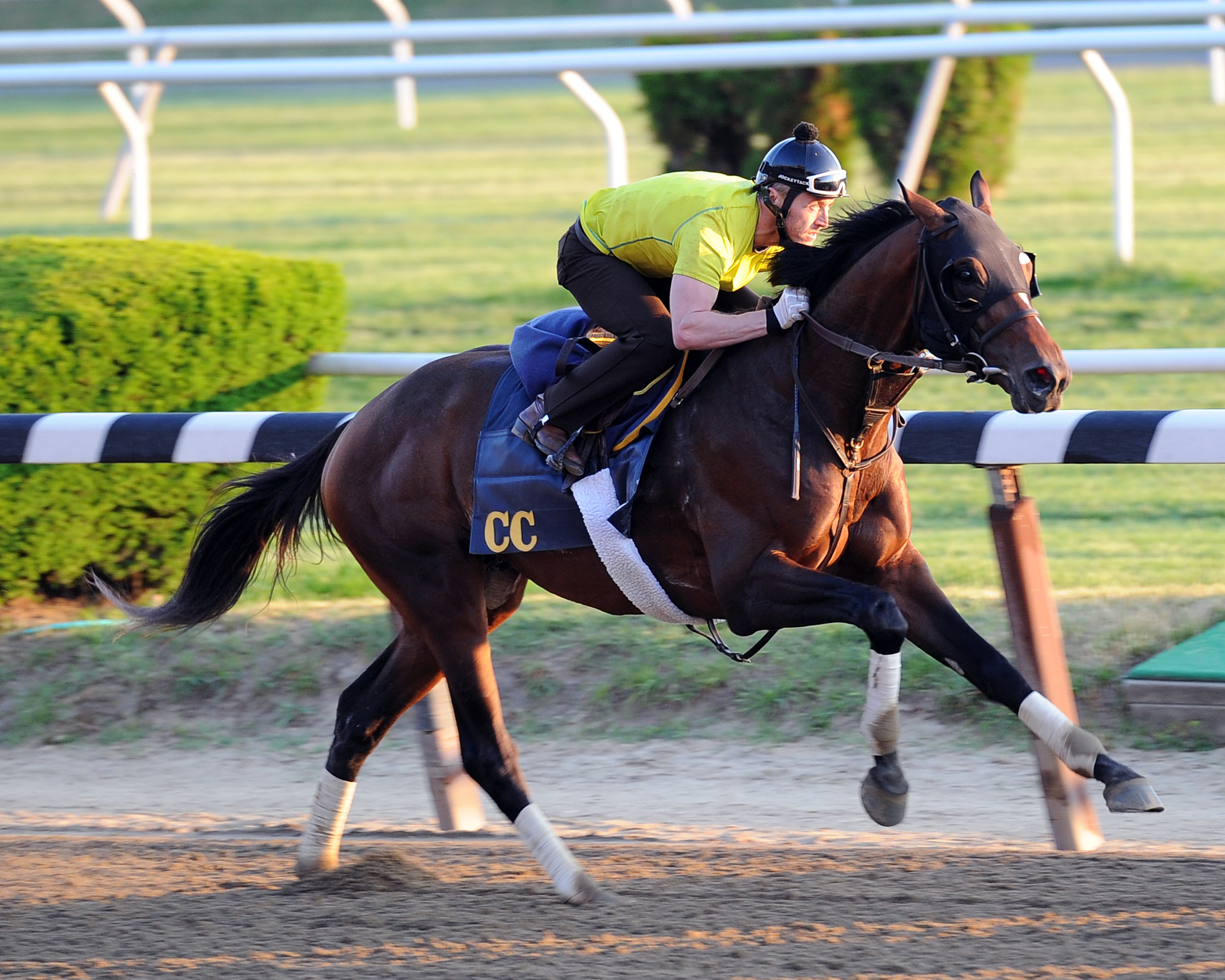 Tonalist works on May 29