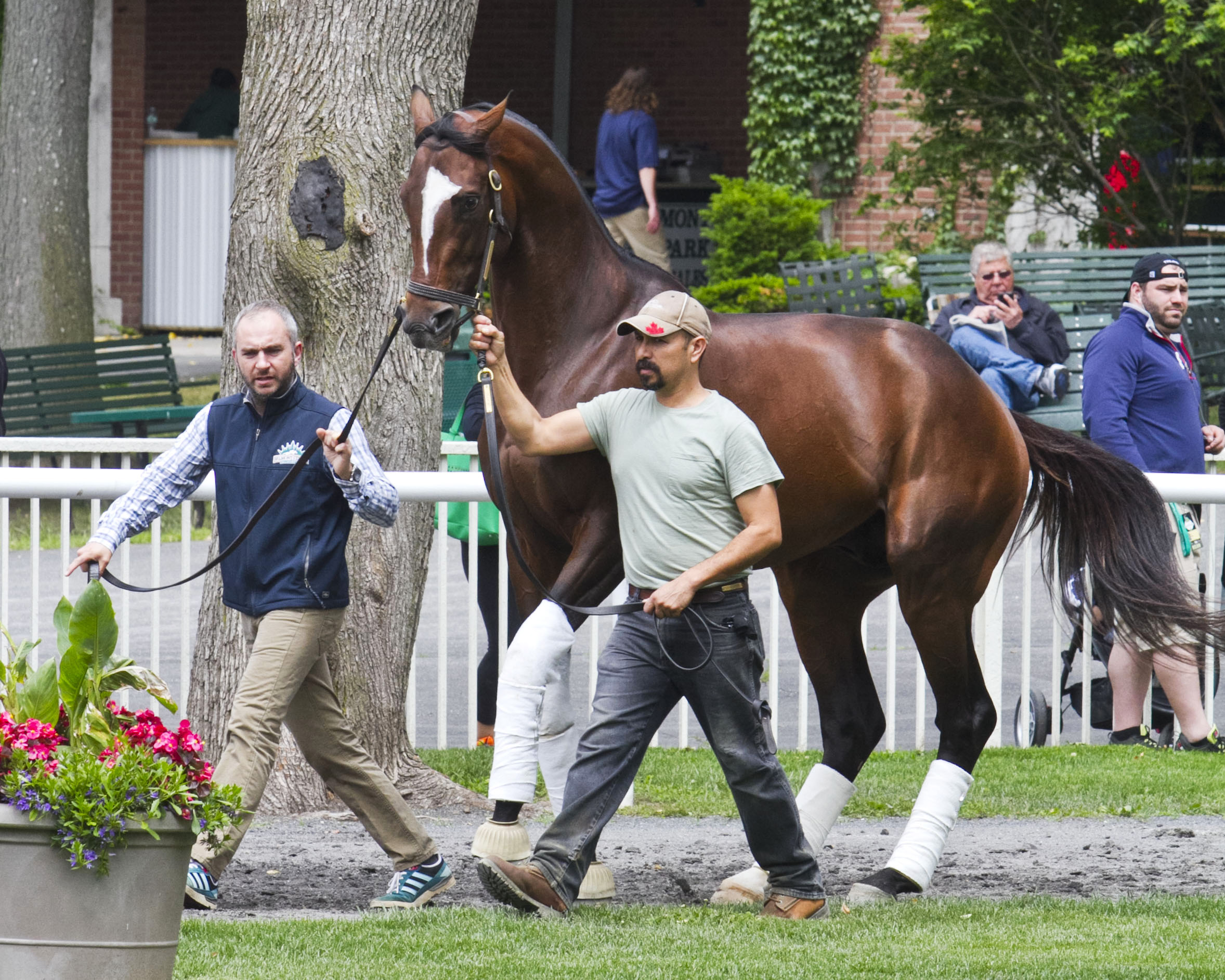 Tonalist schools at Belmont on June 4