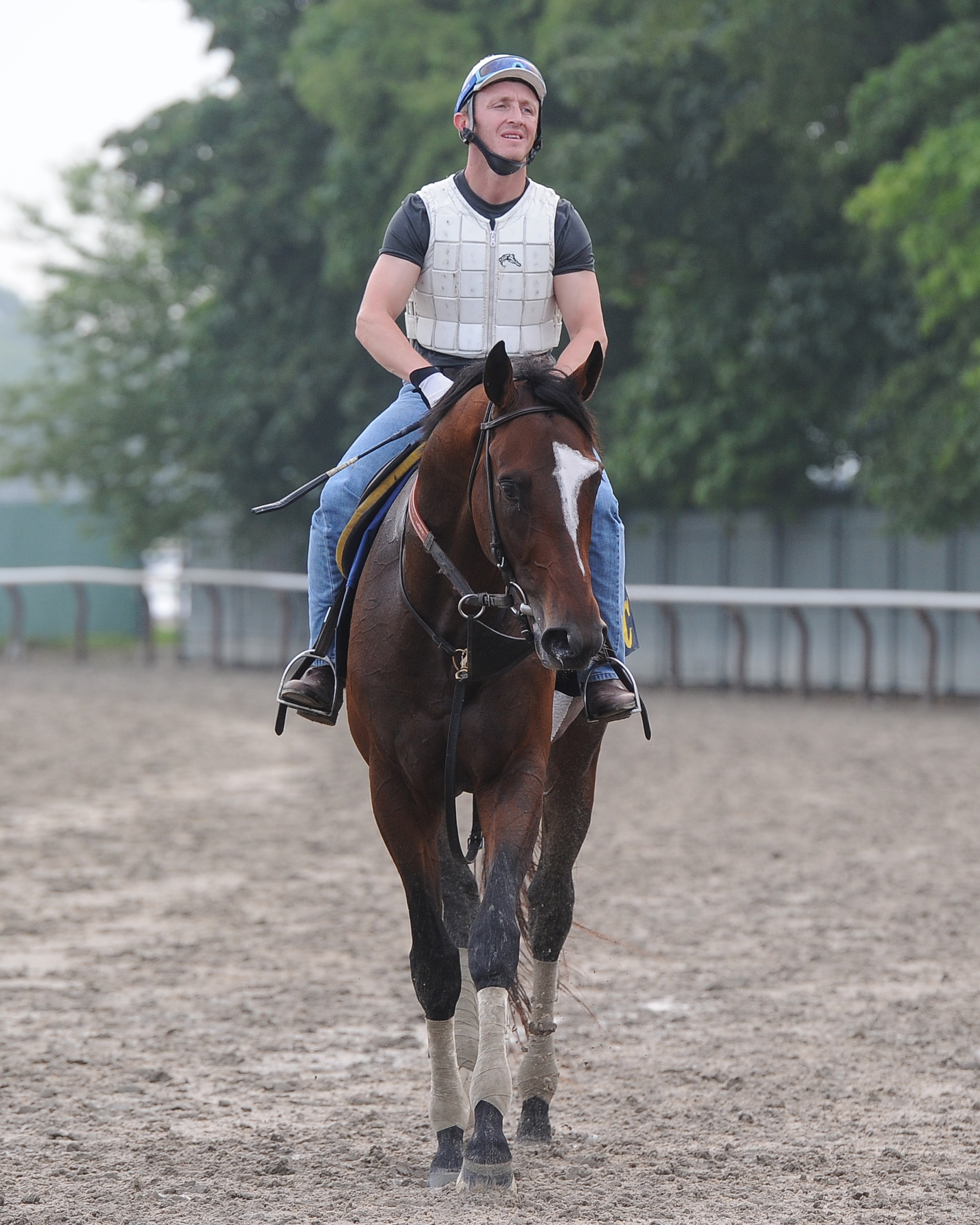 Tonalist 7-3-2014