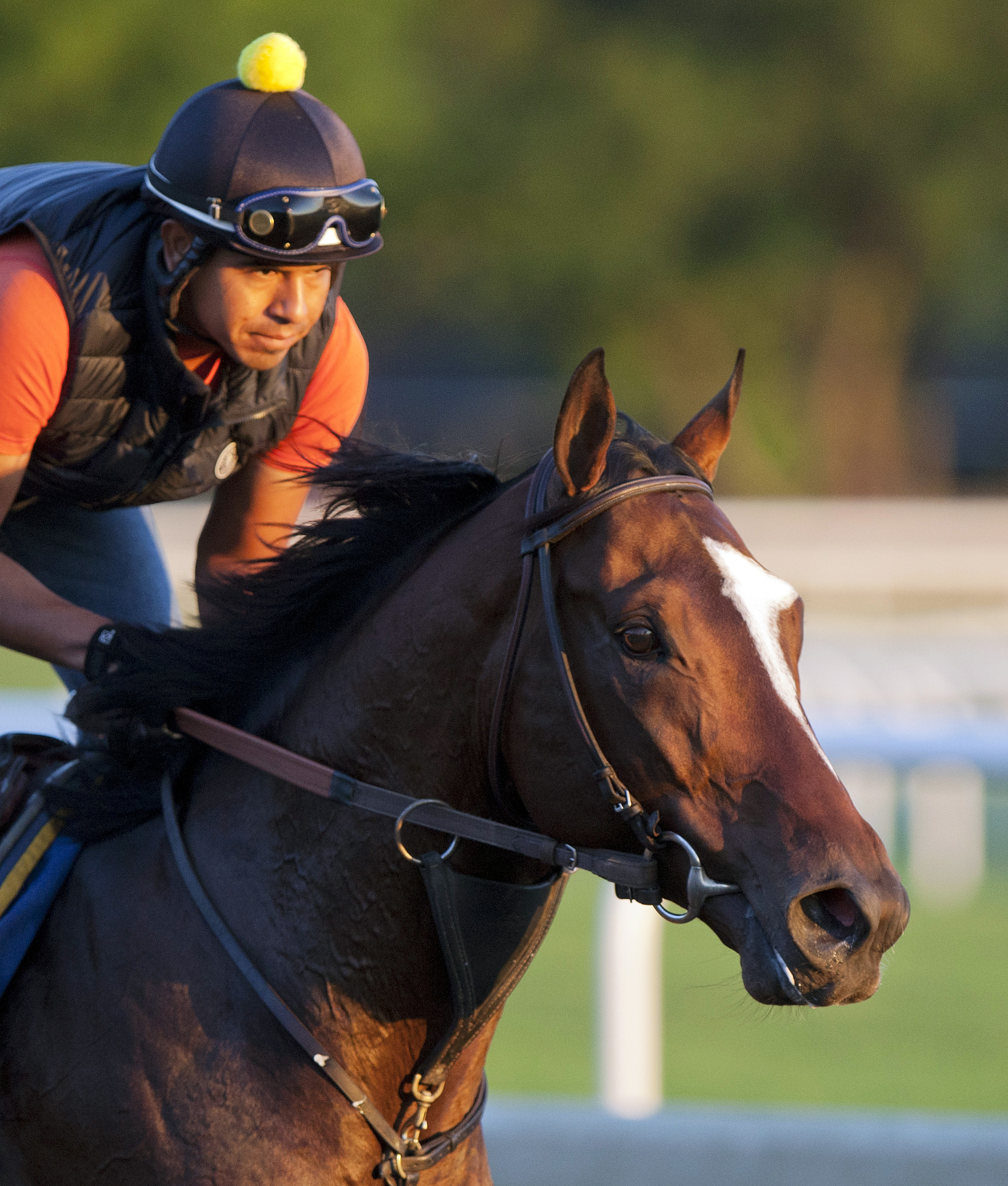 Tonalist trains at Saratoga on August 5
