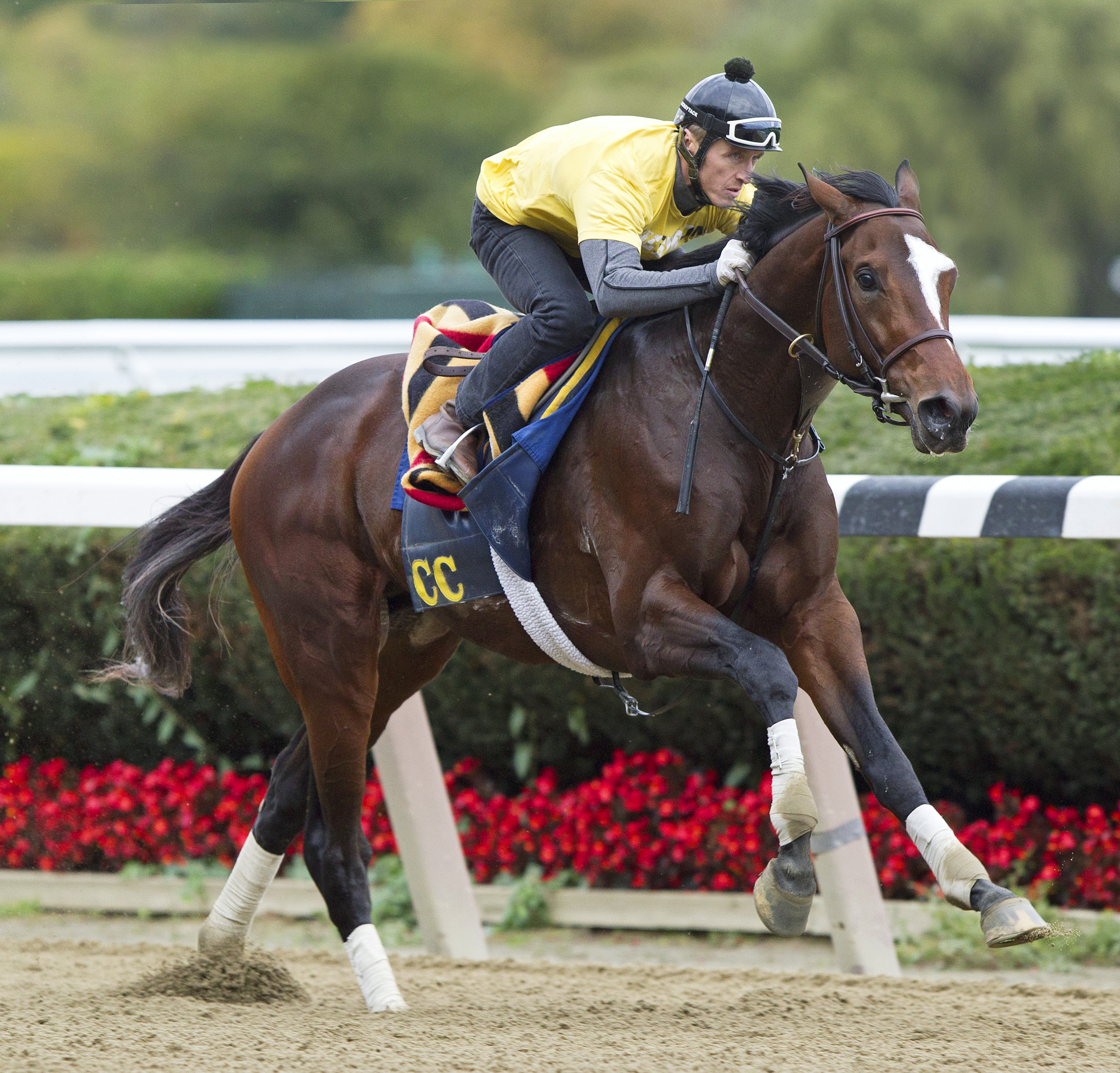 Tonalist trains on Oct. 19