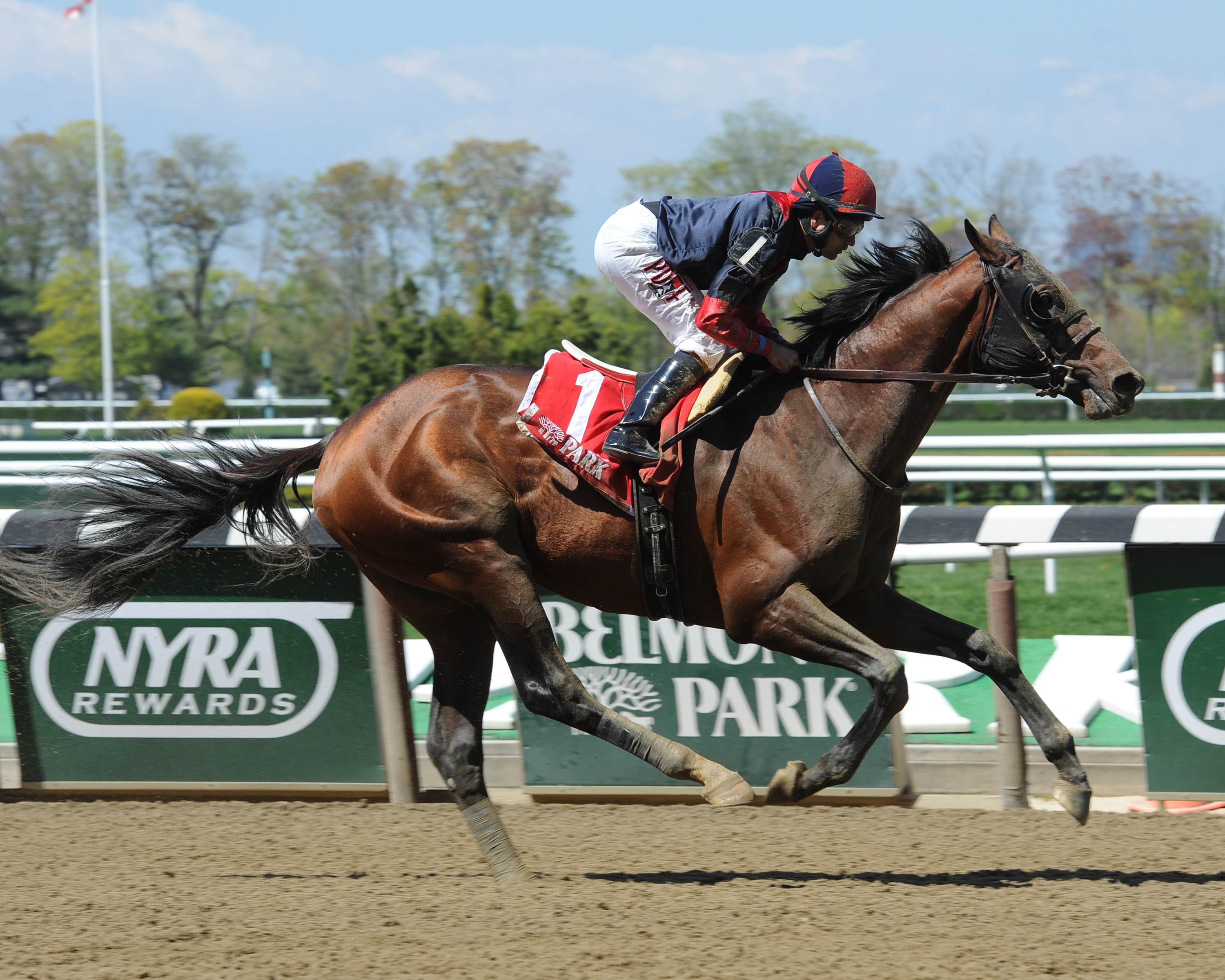 Tonalist wins the Westchester Stakes