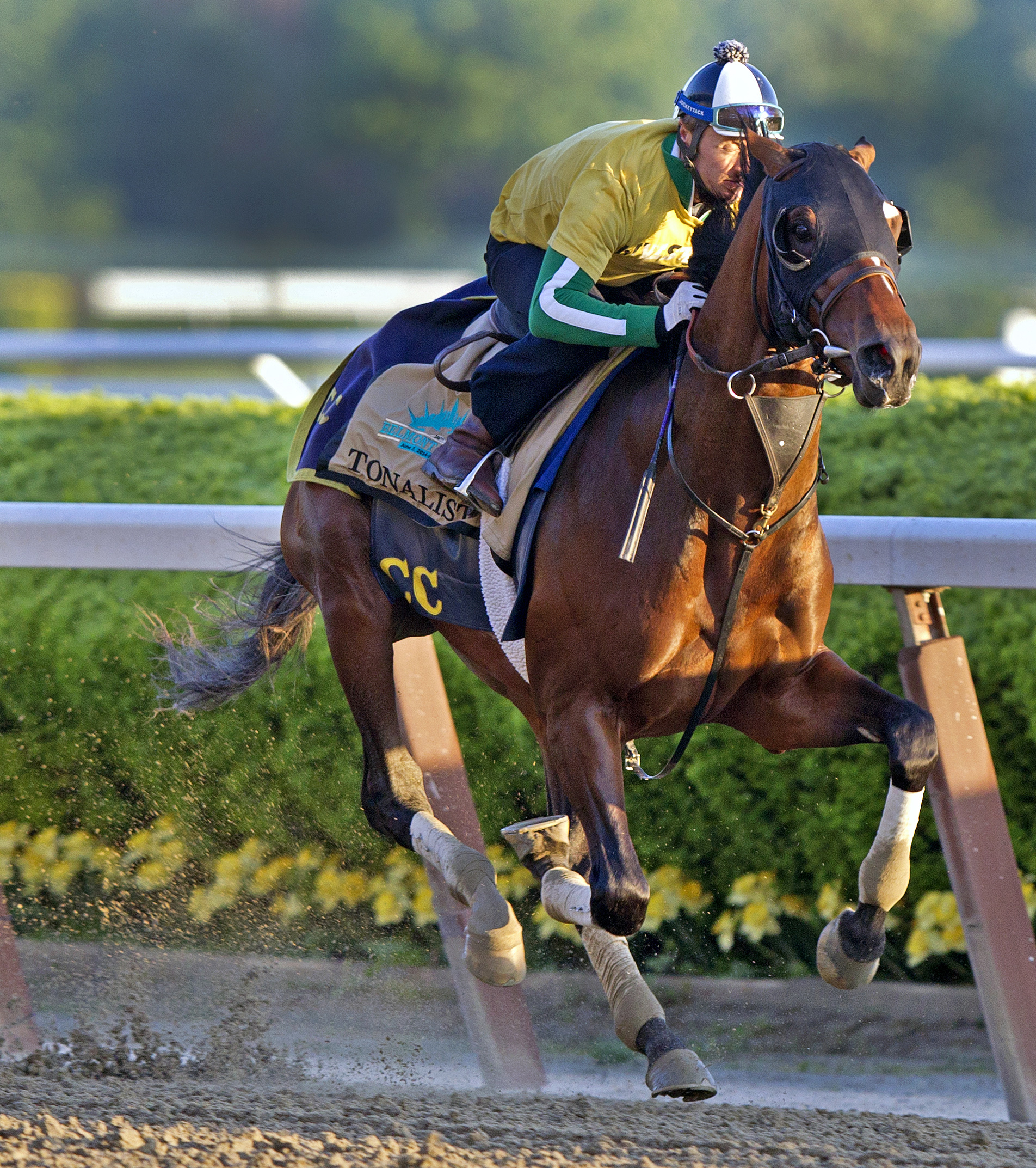 Tonalist train at Belmont on May 25