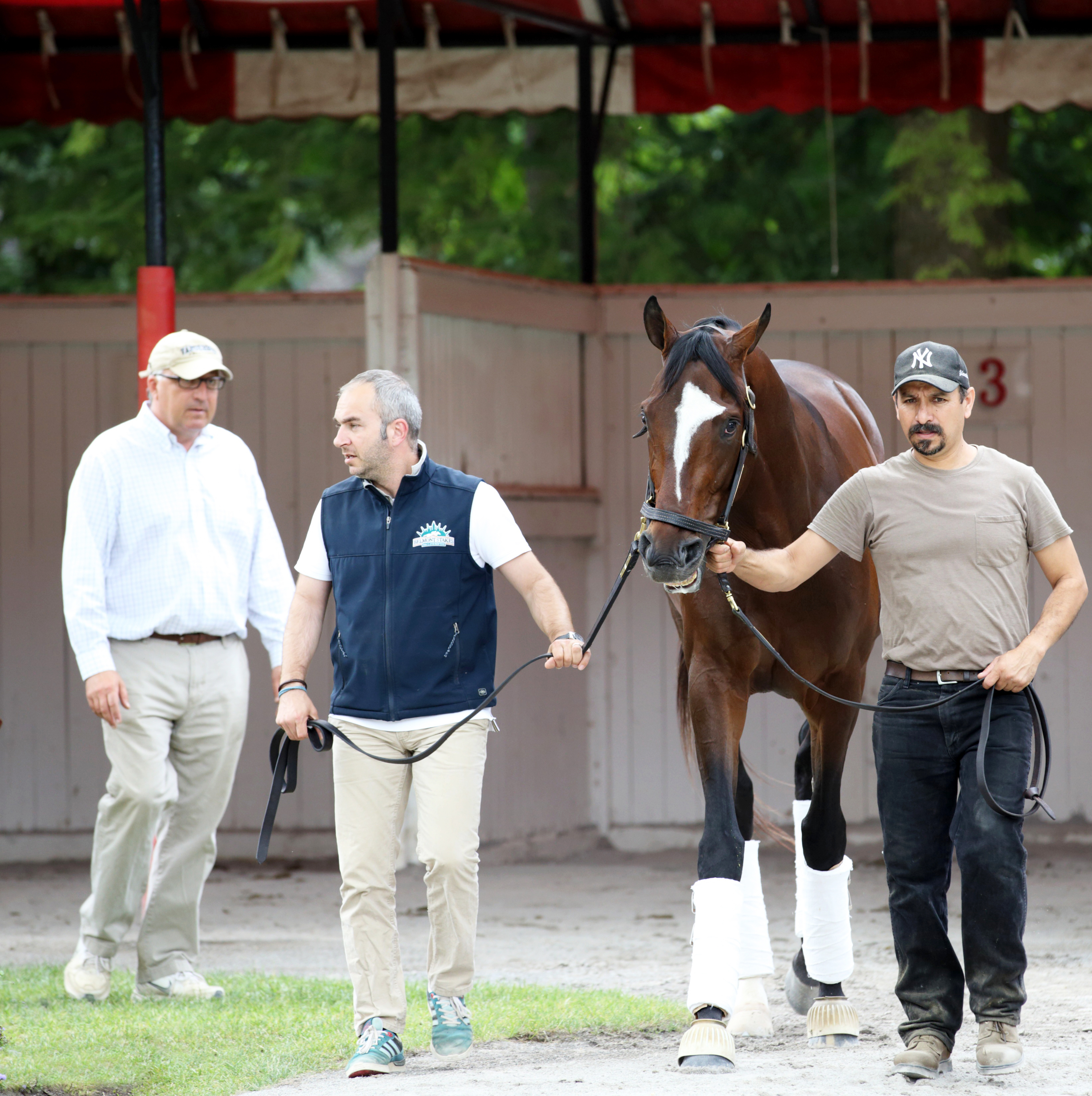 Tonalist at Saratoga on Aug. 6