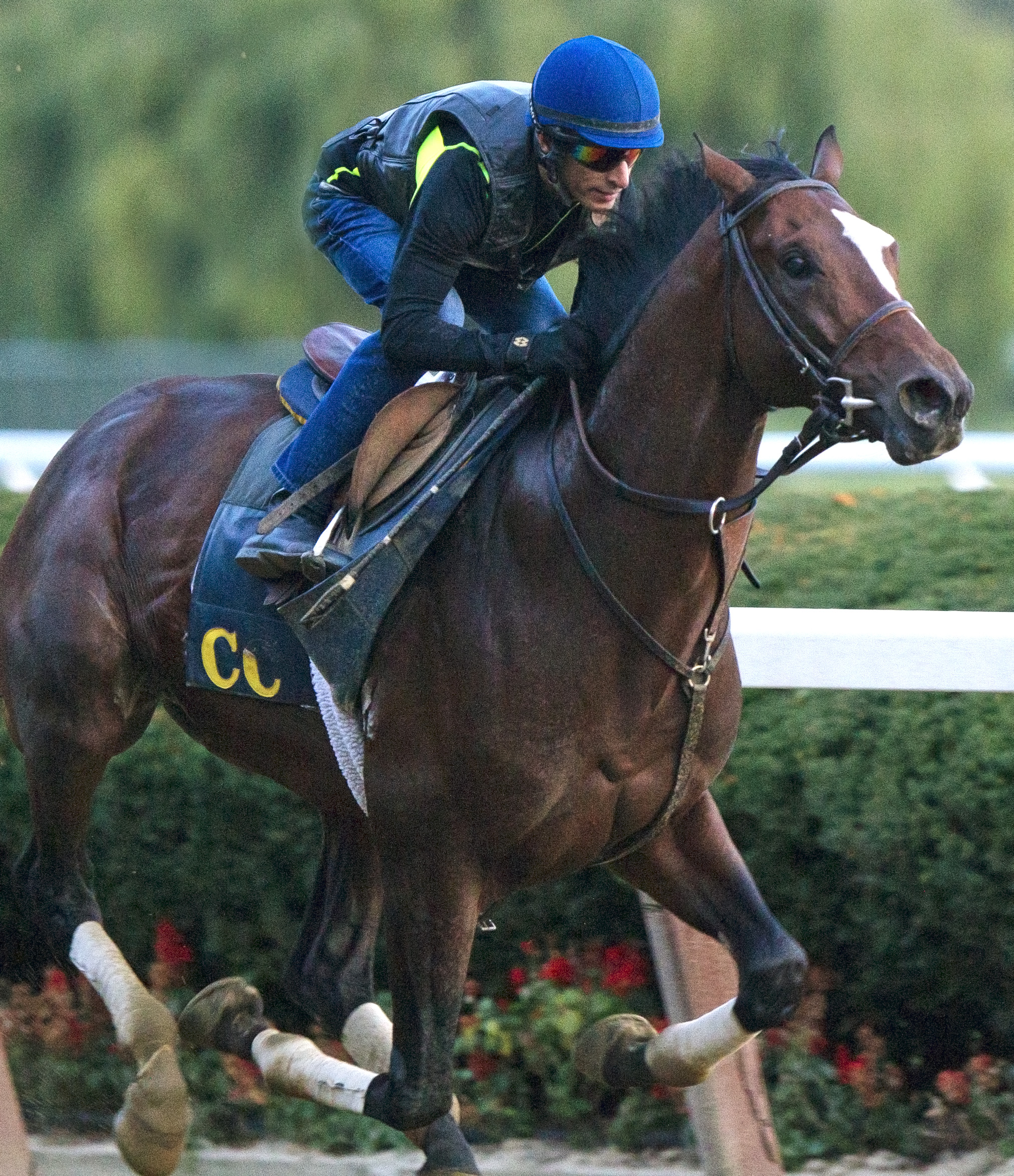 Tonalist trains at Saratoga on Sept. 26