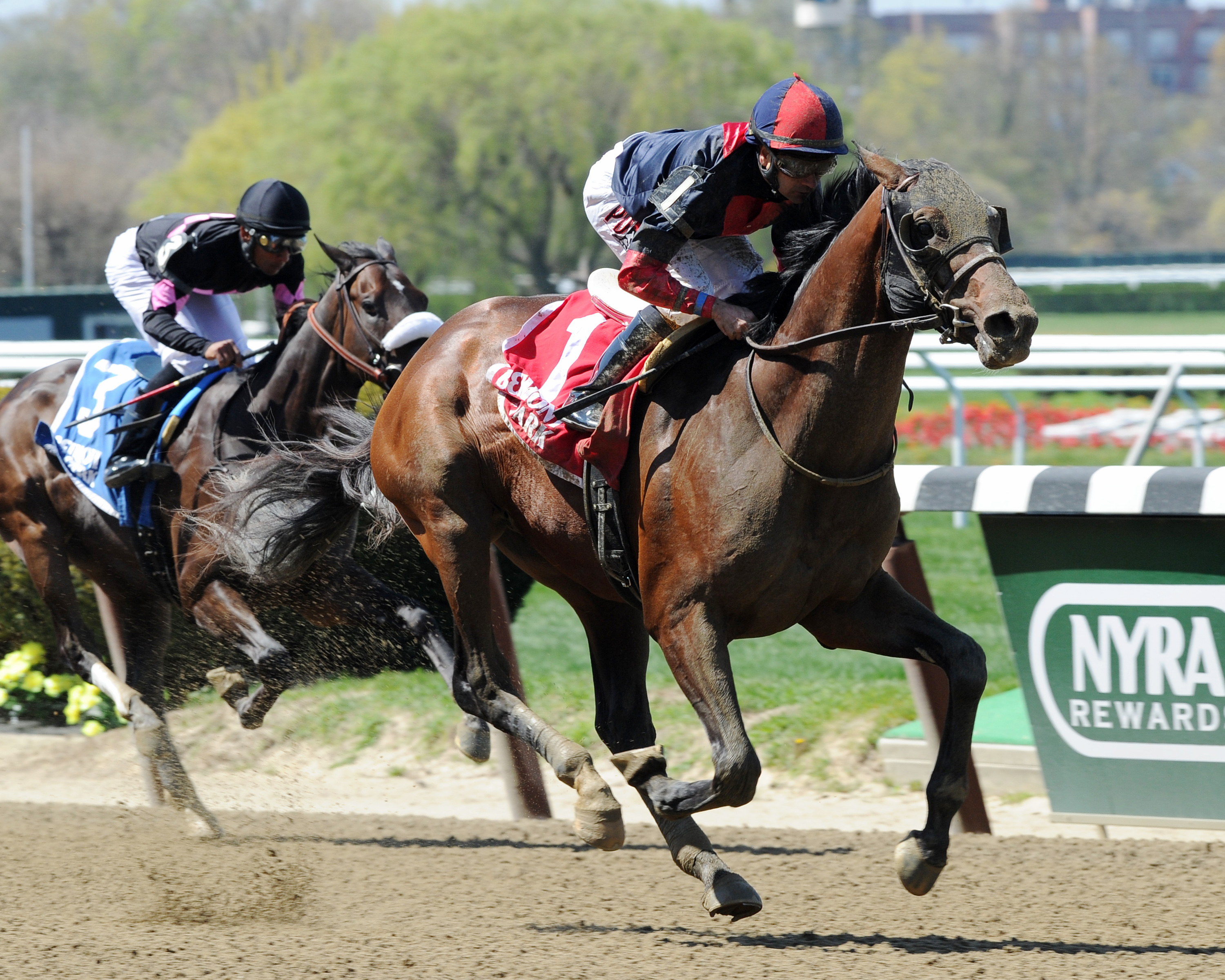 Tonalist wins the Westchester Stakes