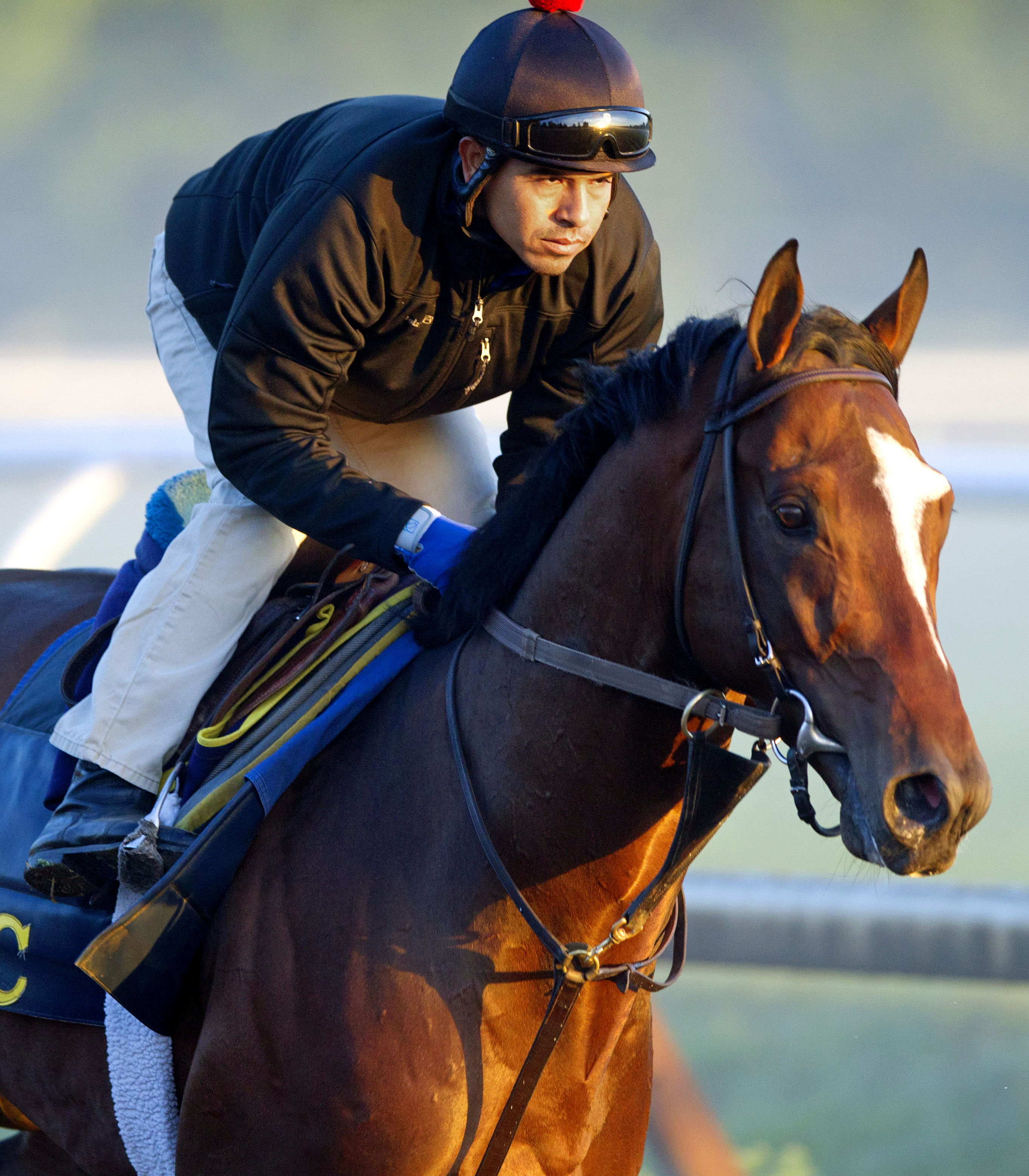 Tonalist training on Aug. 19