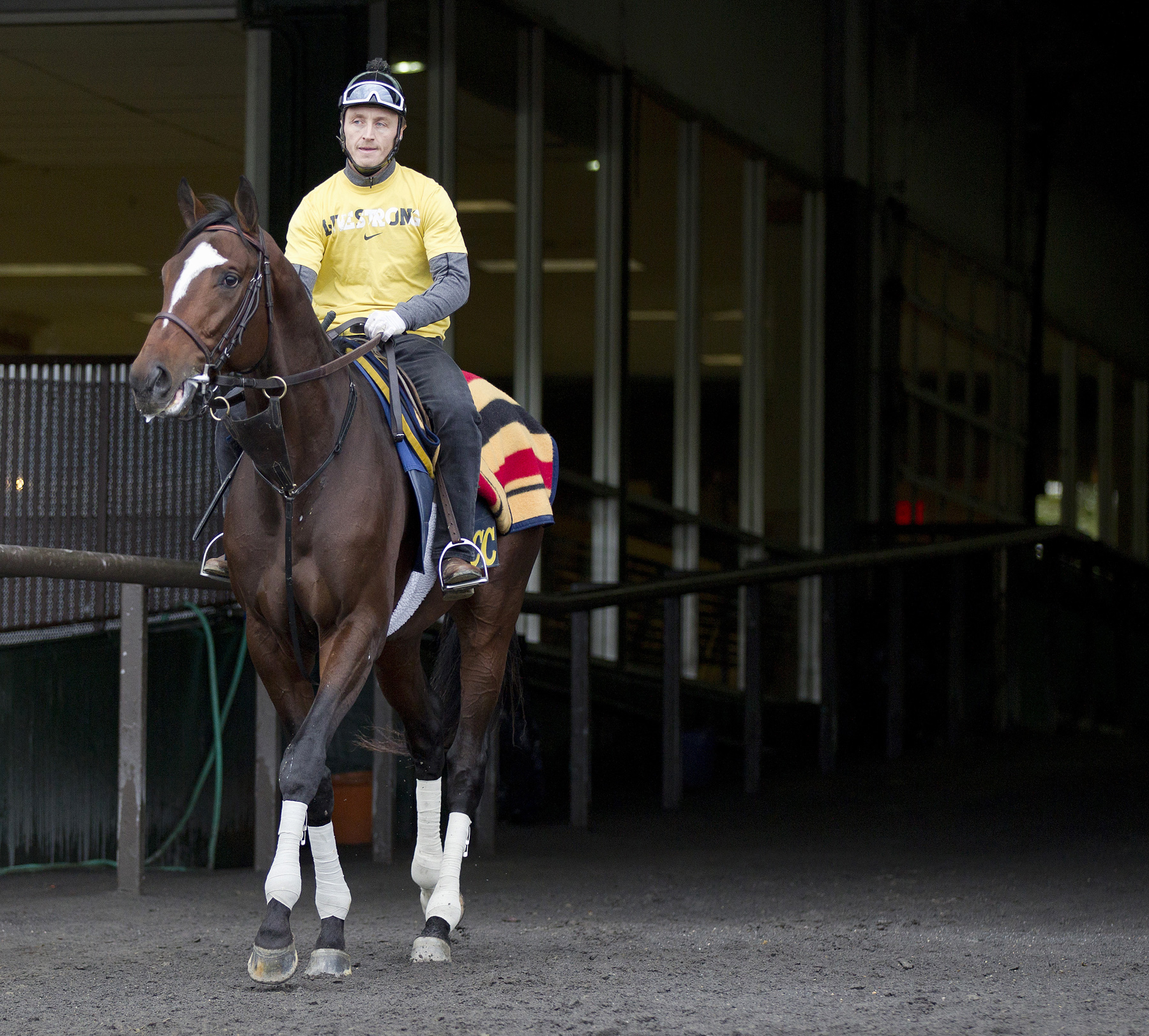Tonalist at Belmont Park