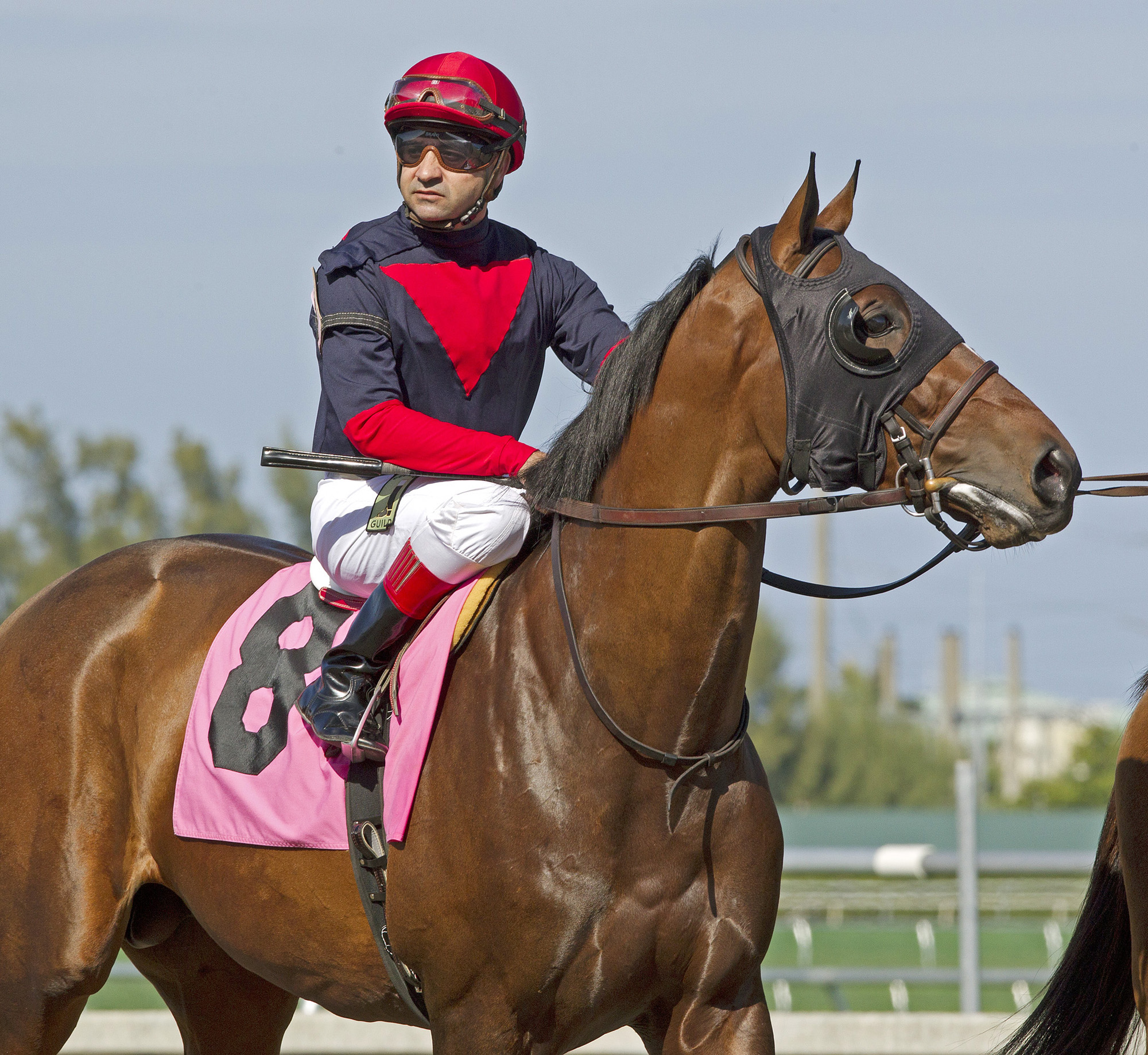 Tonalist, Feb. 22, 2014