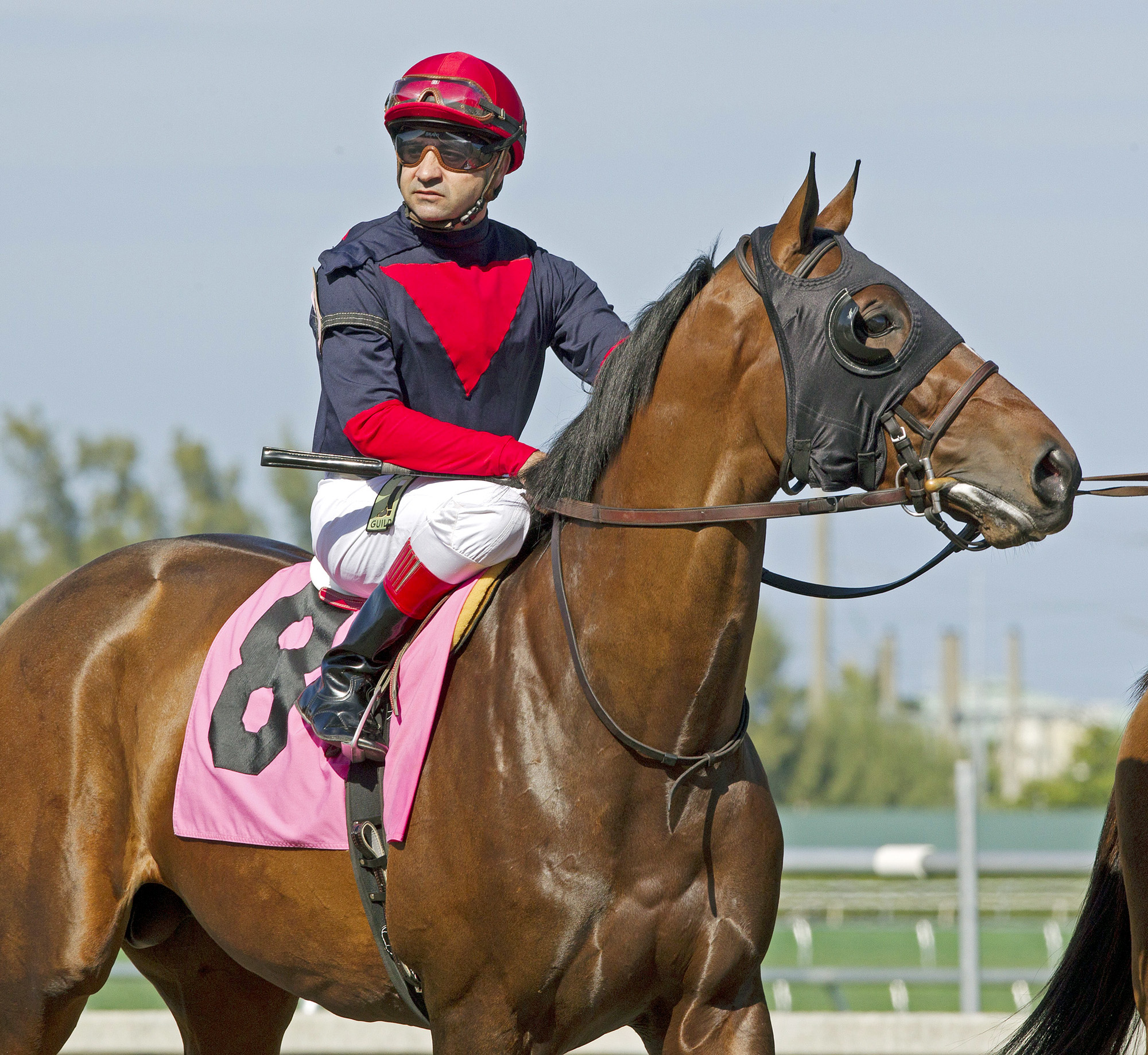 Tonalist finishes second in a claiming race