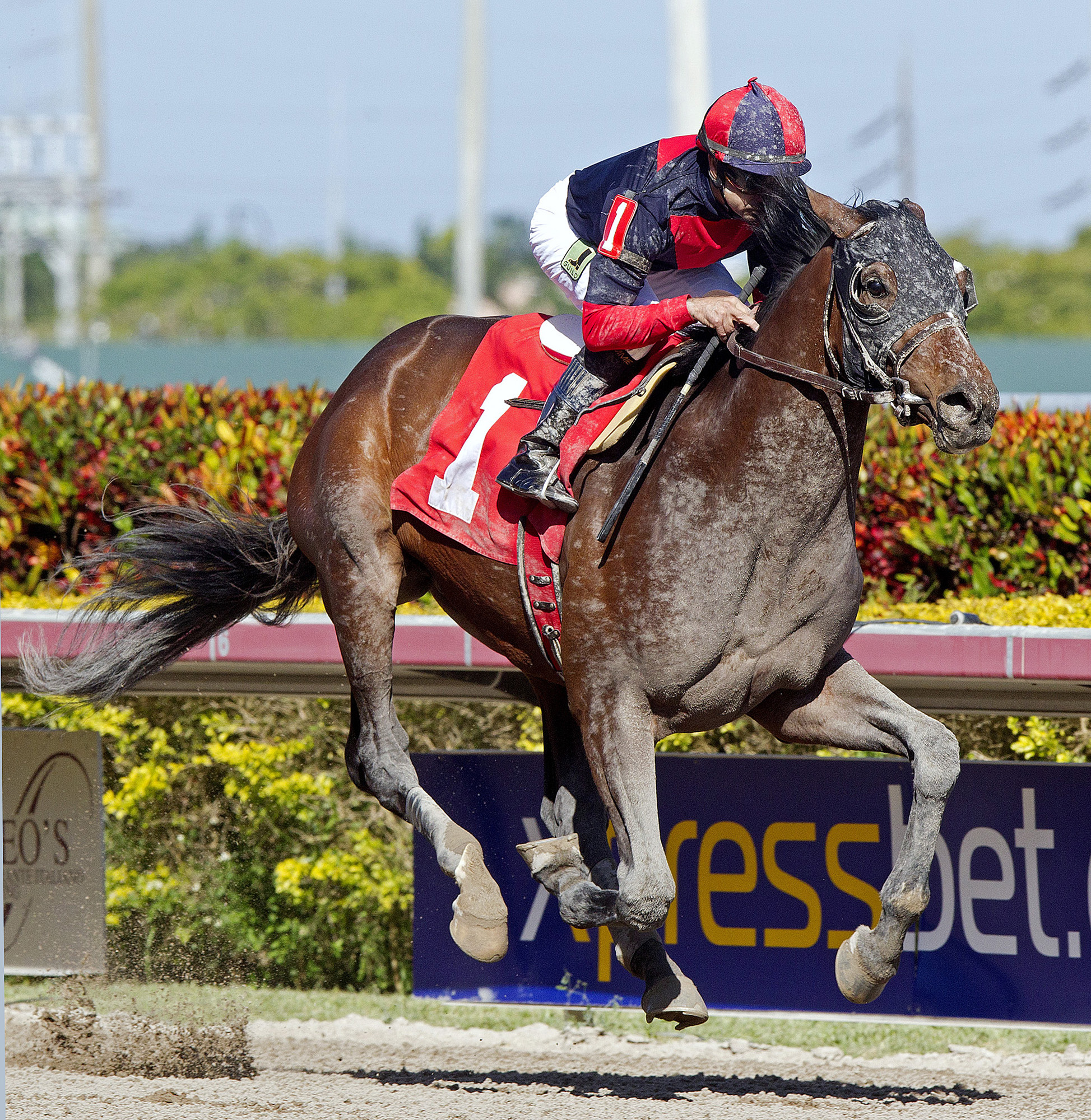 Tonalist wins a maiden race