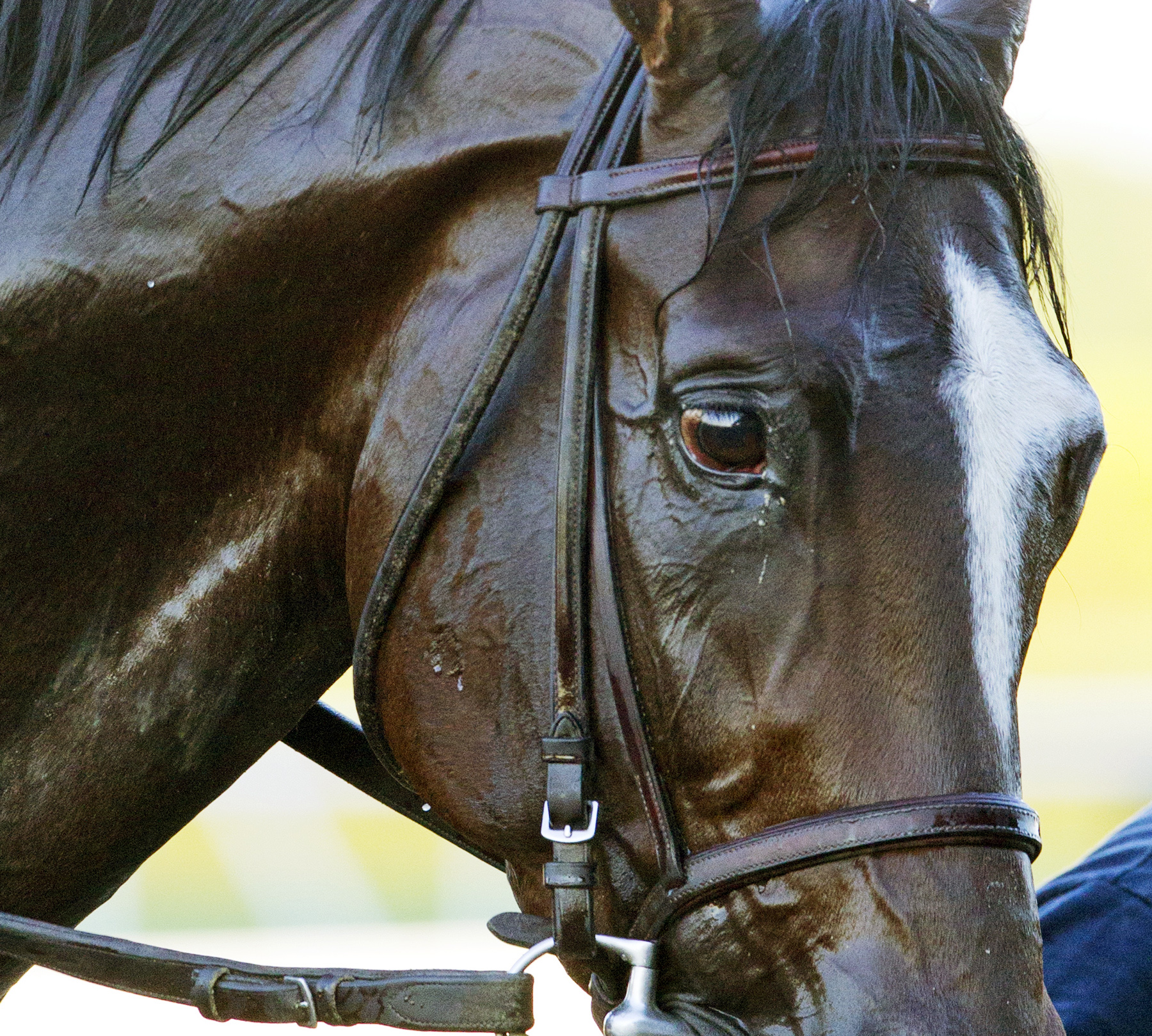 Tonalist